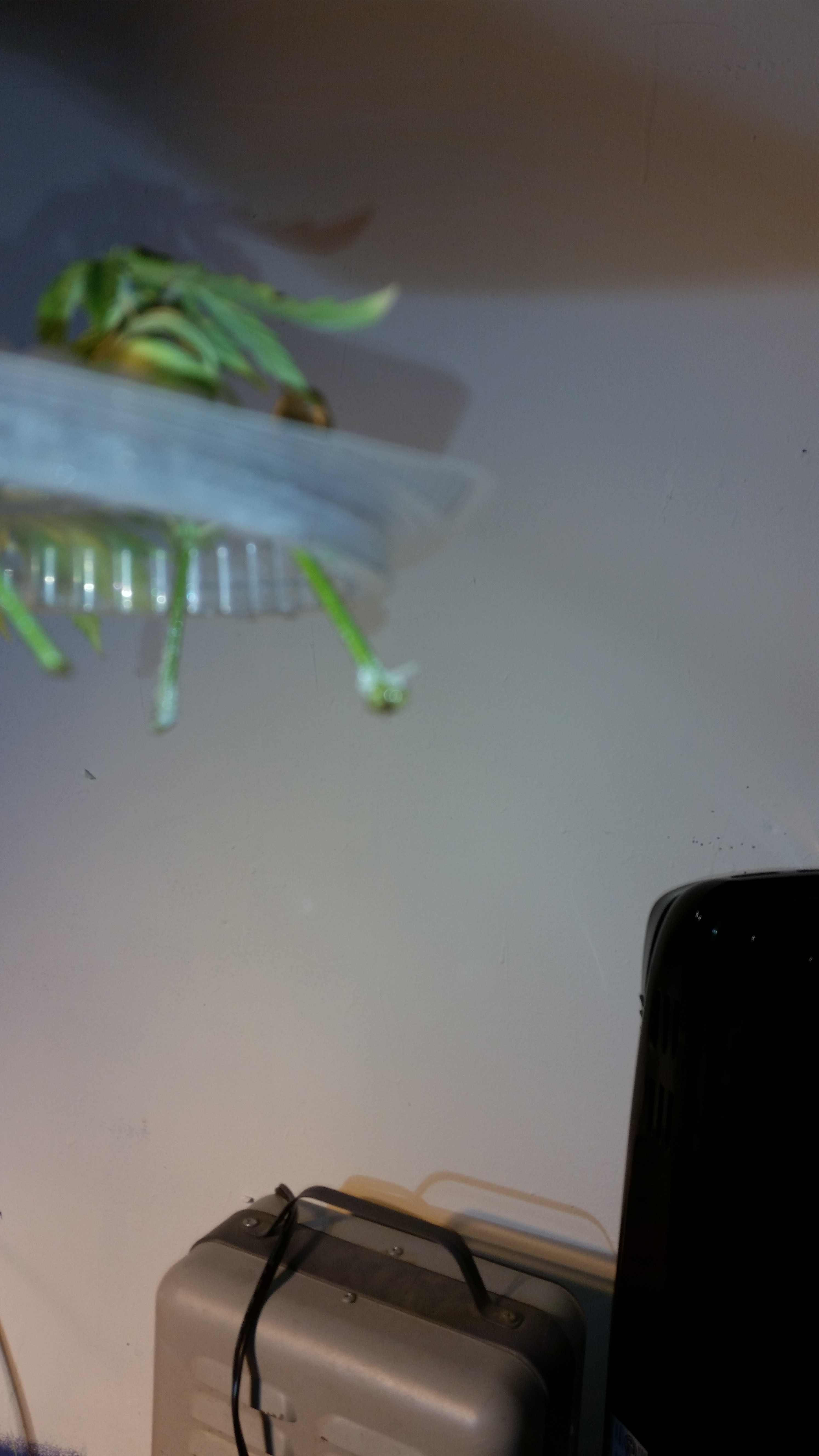 20200123_163620.jpg