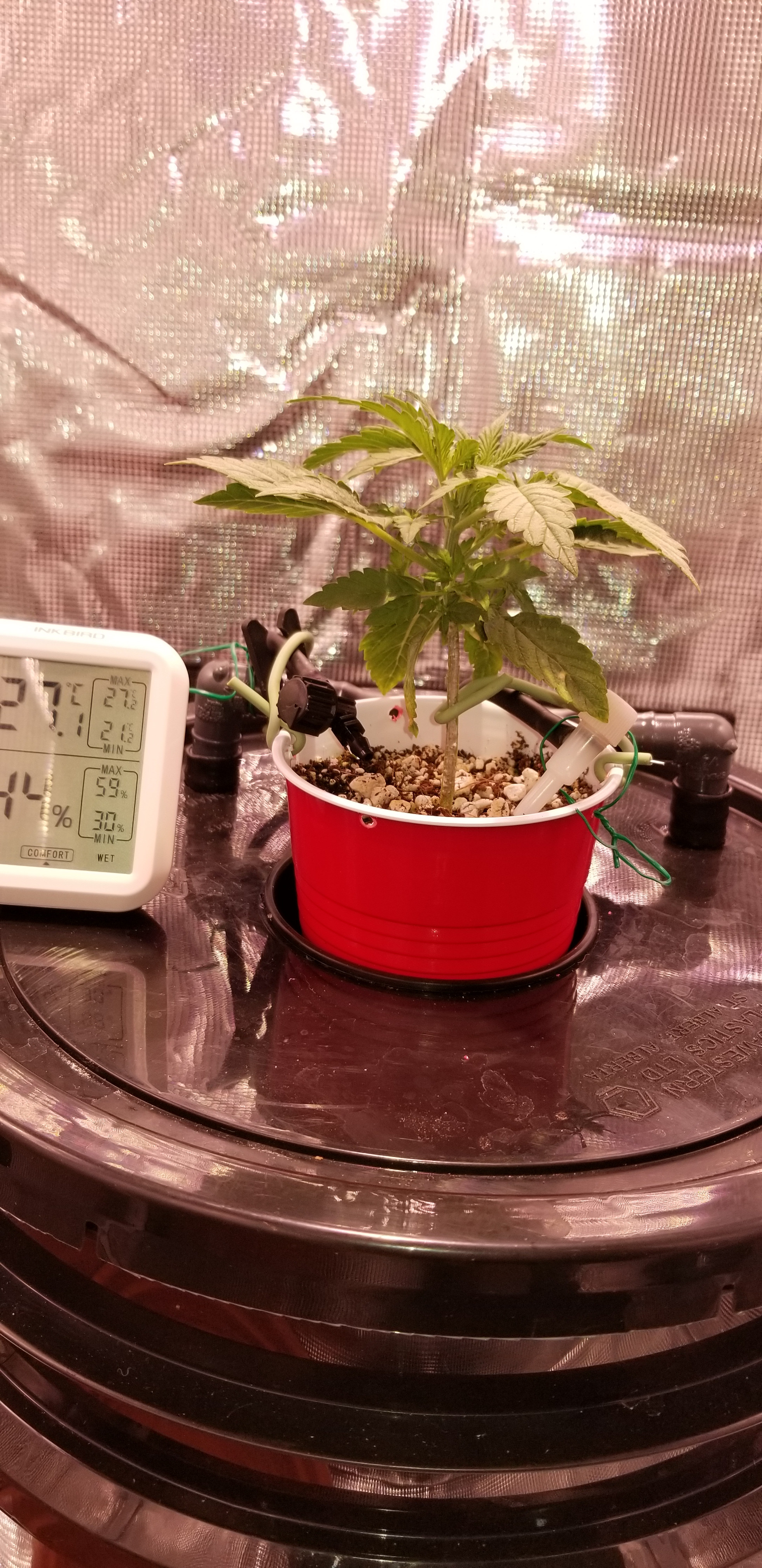 20200125_205451.jpg