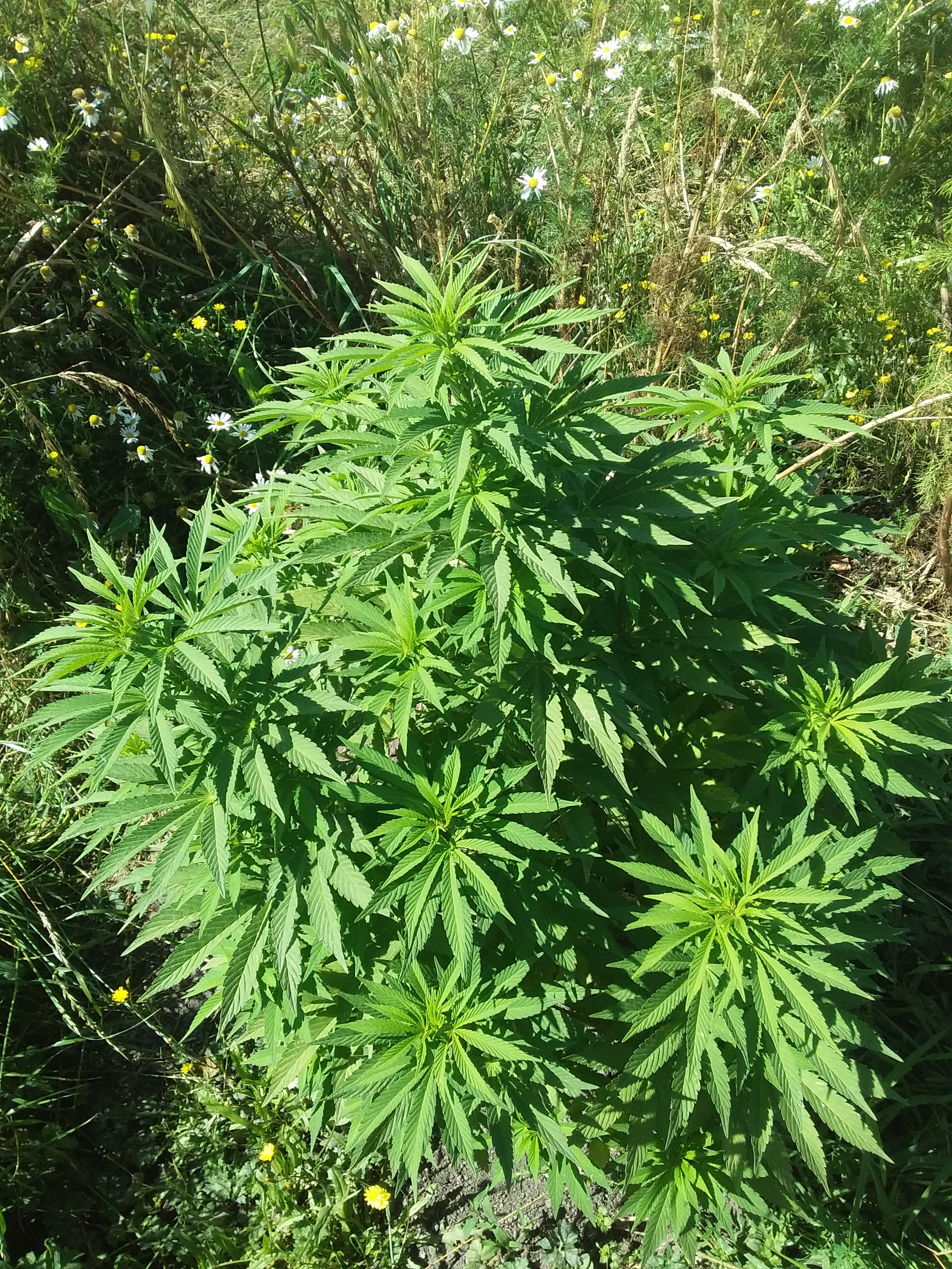 20200207_151037.jpg