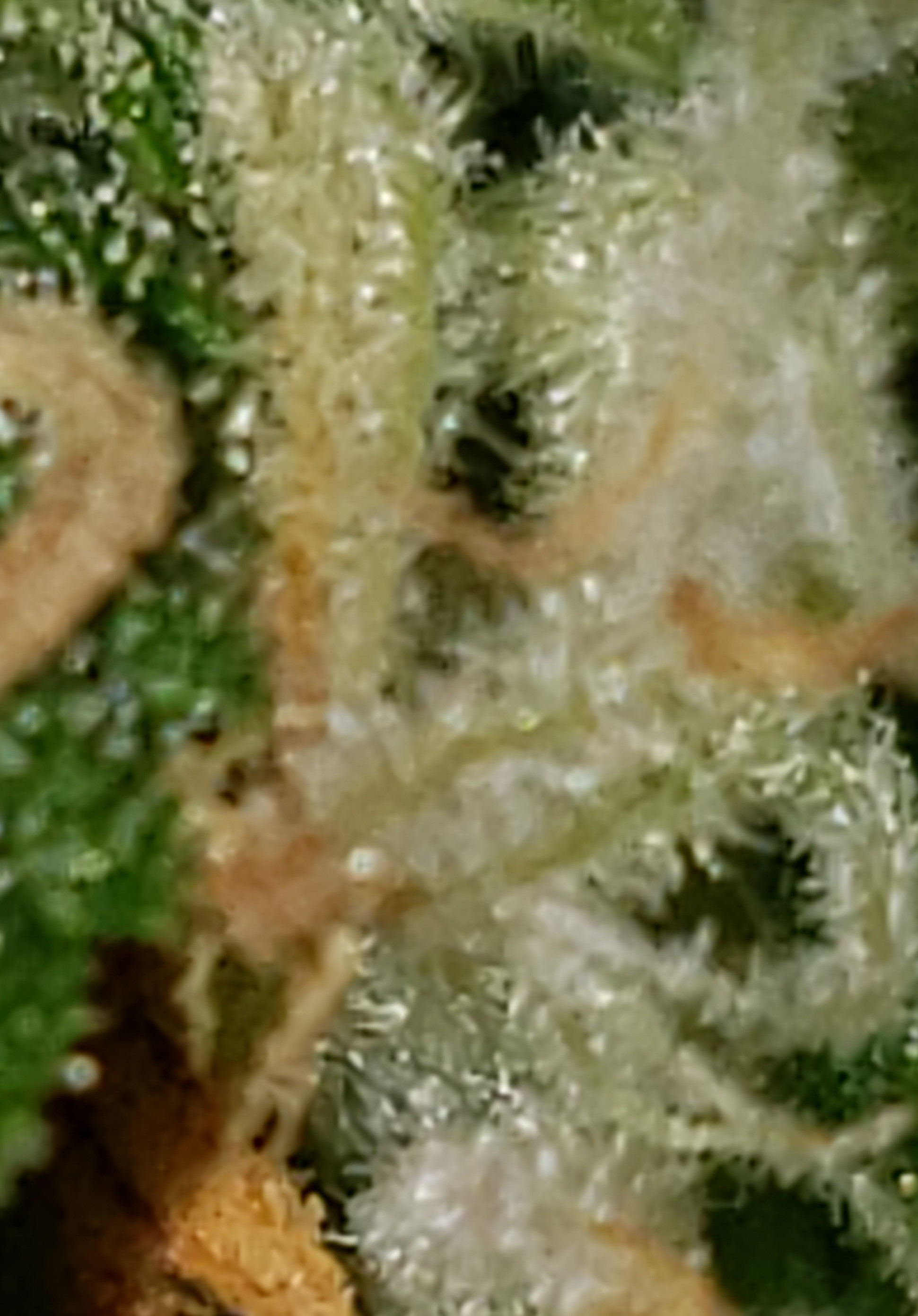 20200426_171418.jpg