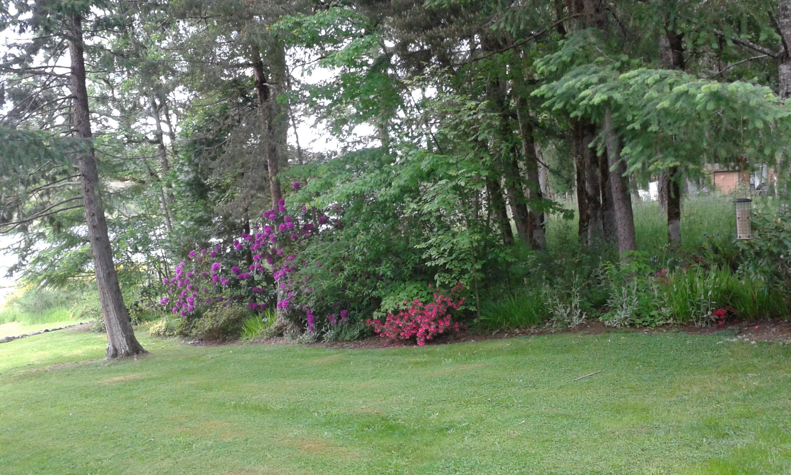 20200518_152224.jpg