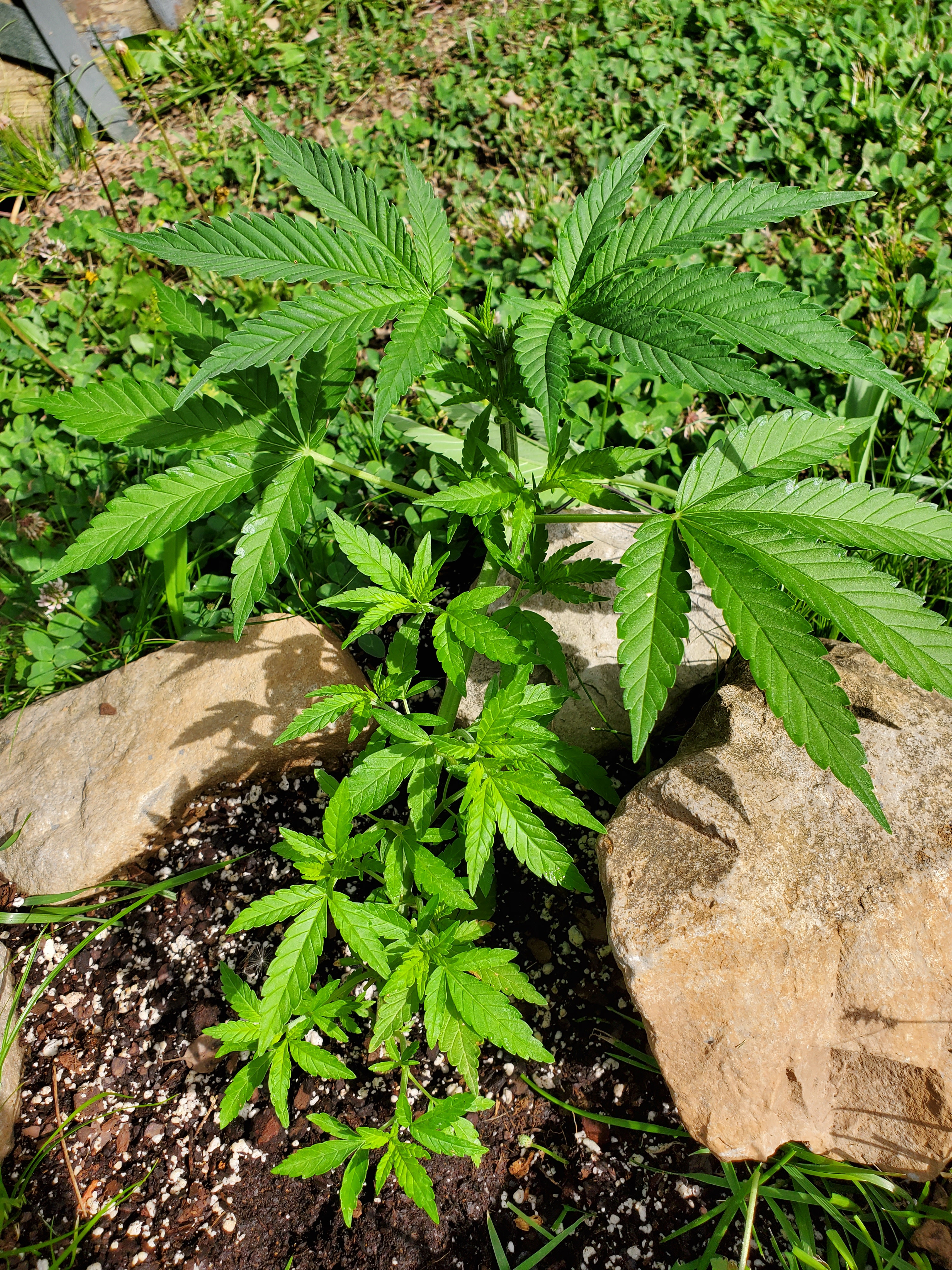 20200608_085922.jpg