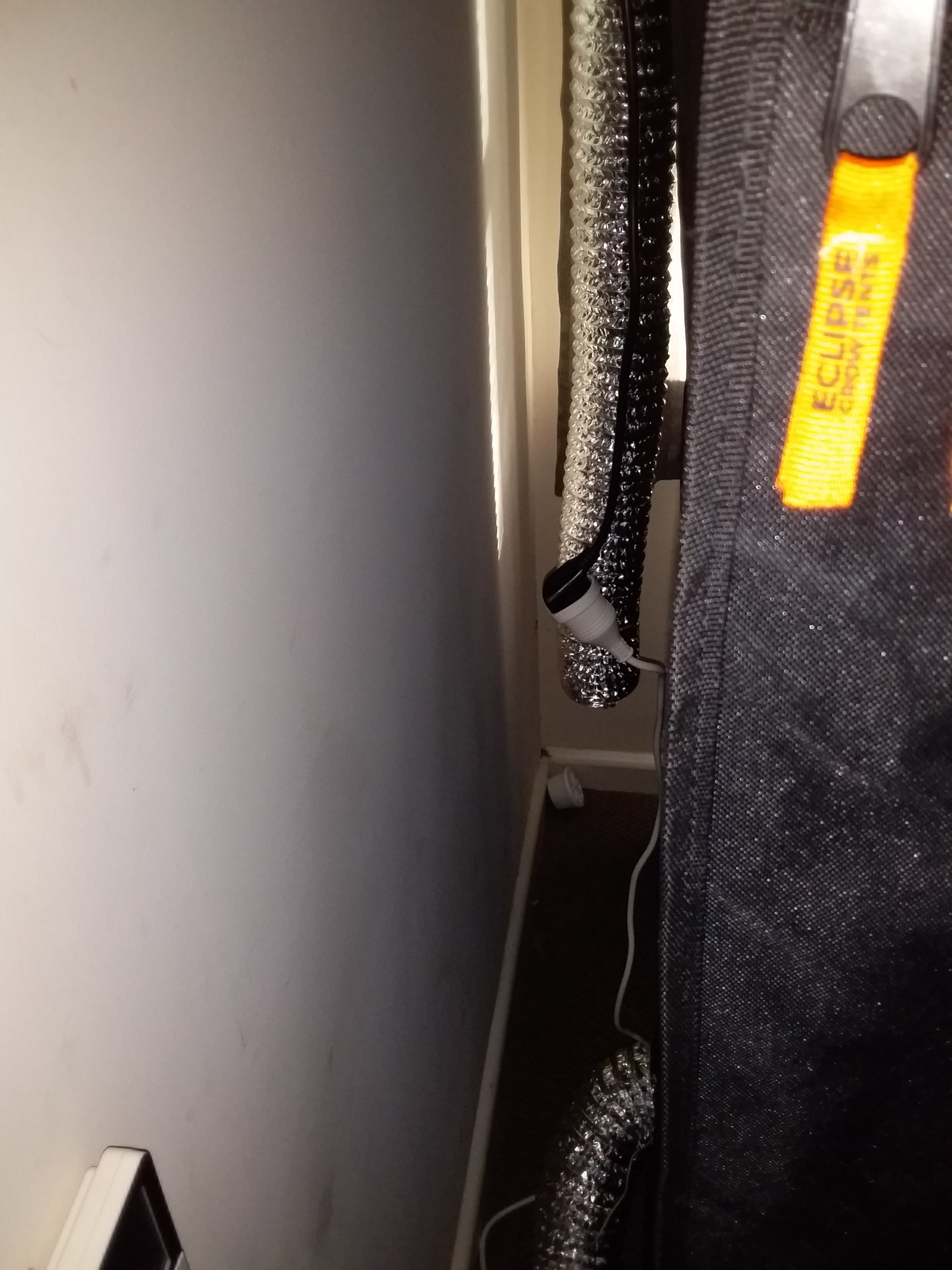 20200613_144206.jpg