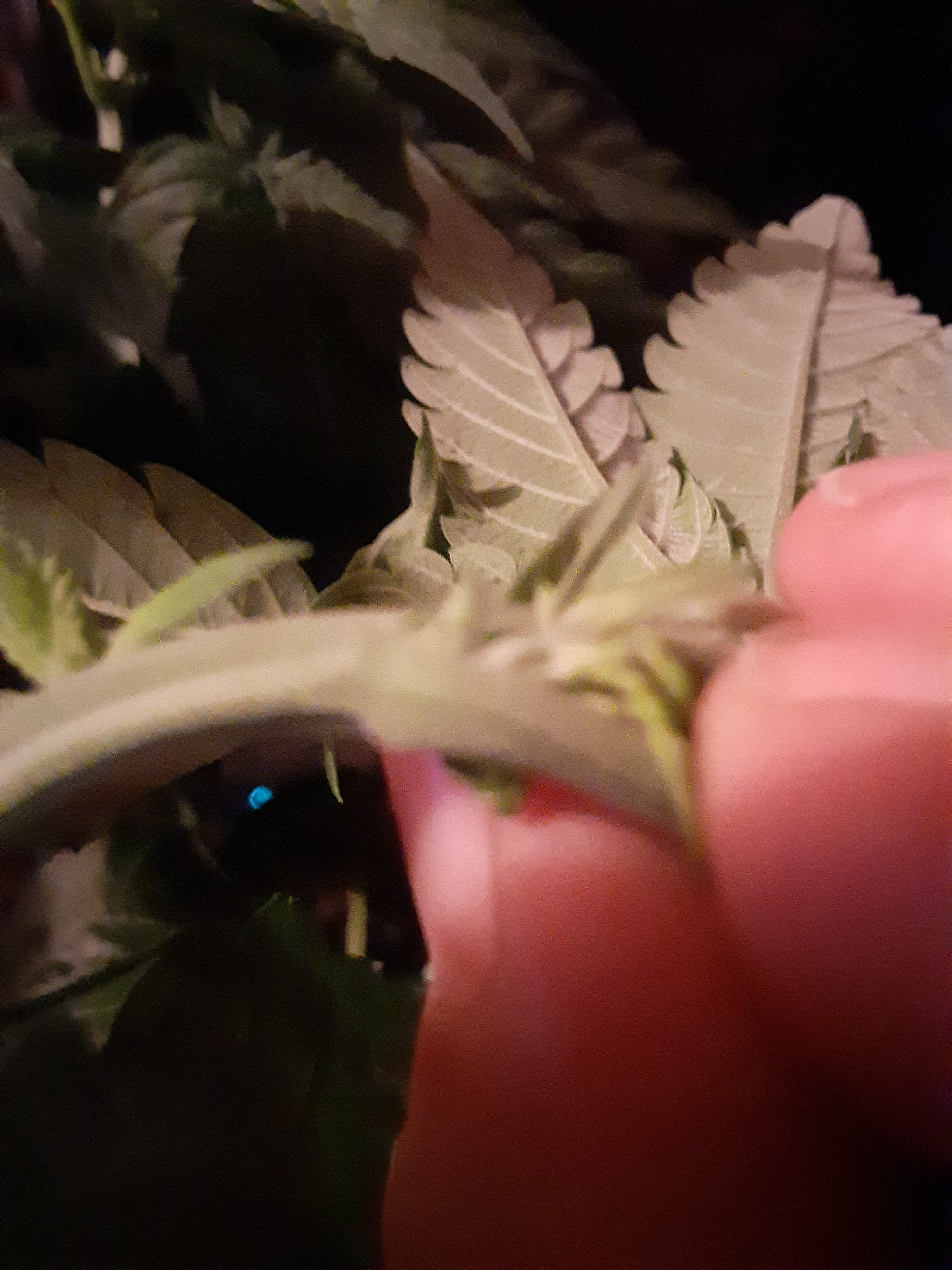 20200620_212519.jpg