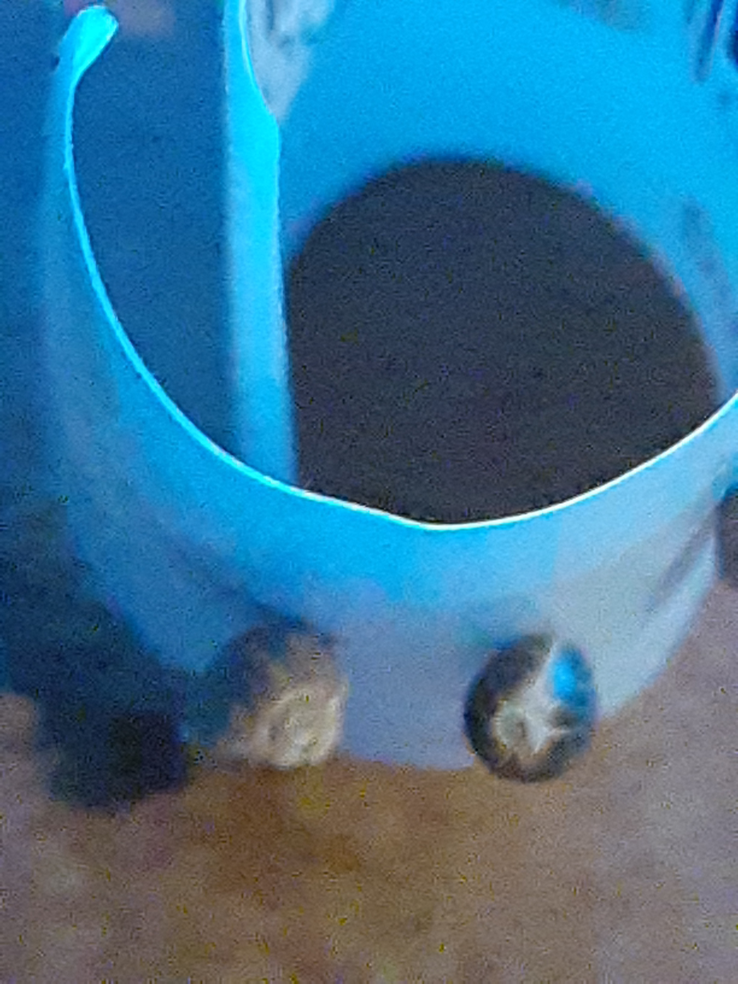 20200626_215453.jpg