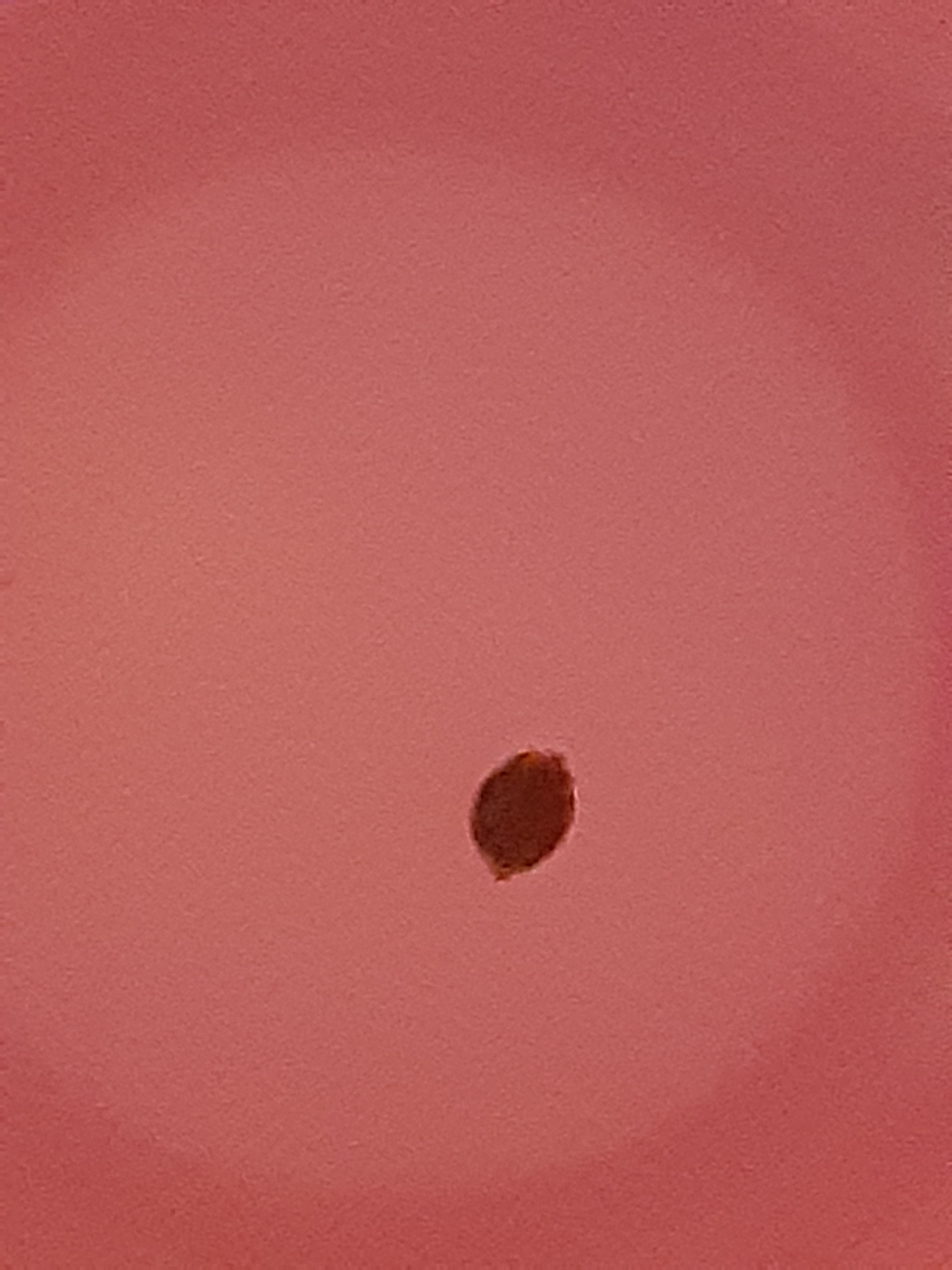 20200627_000317.jpg