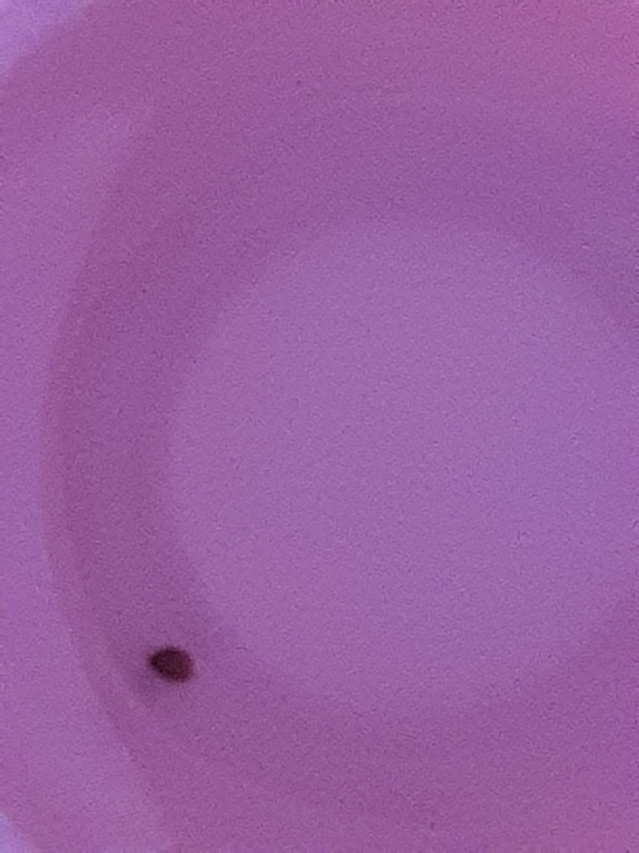 20200627_001331.jpg