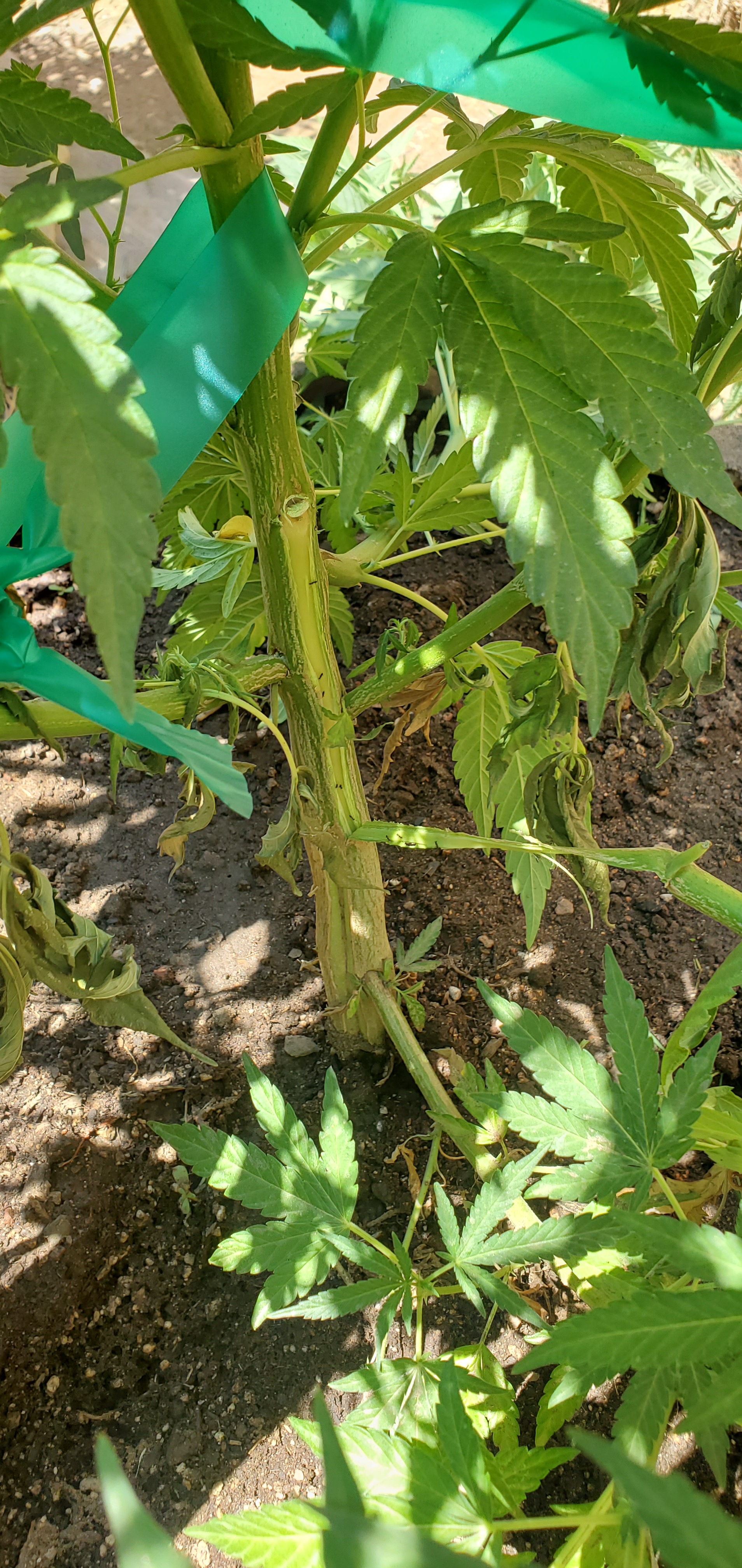 20200719_132630.jpg
