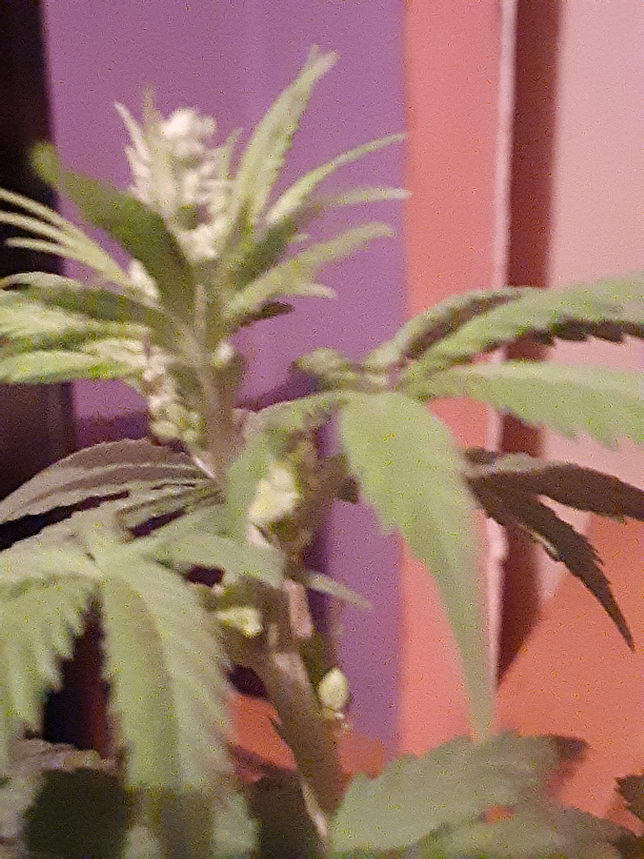 20200816_220853.jpg