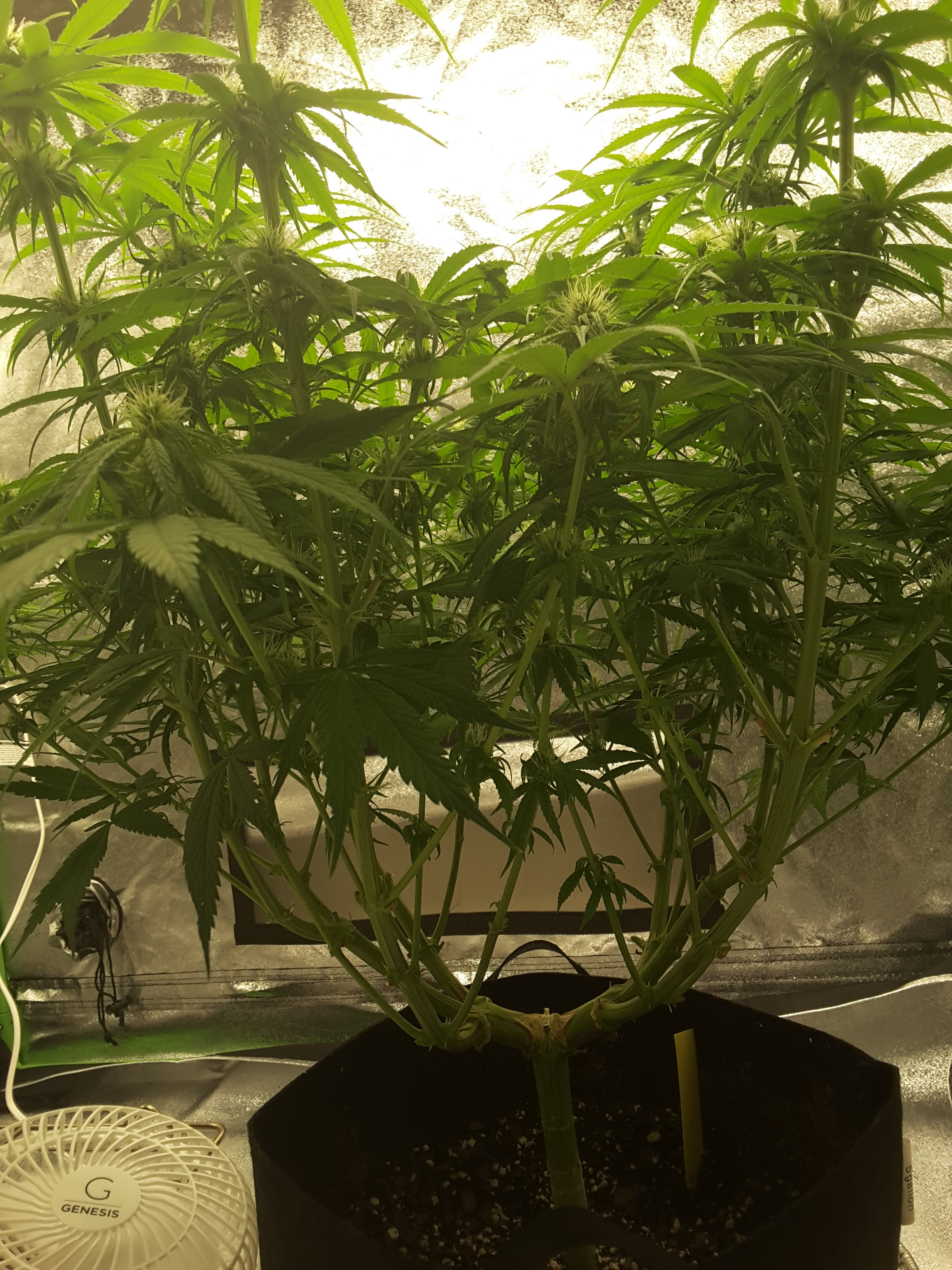 20200819_071638.jpg