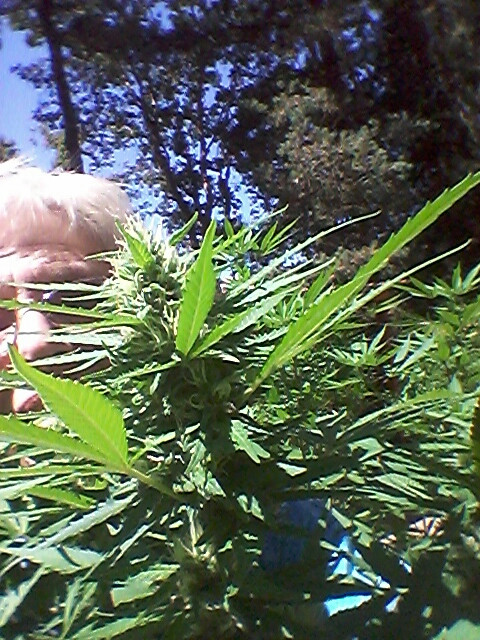 20200905_134418.jpeg