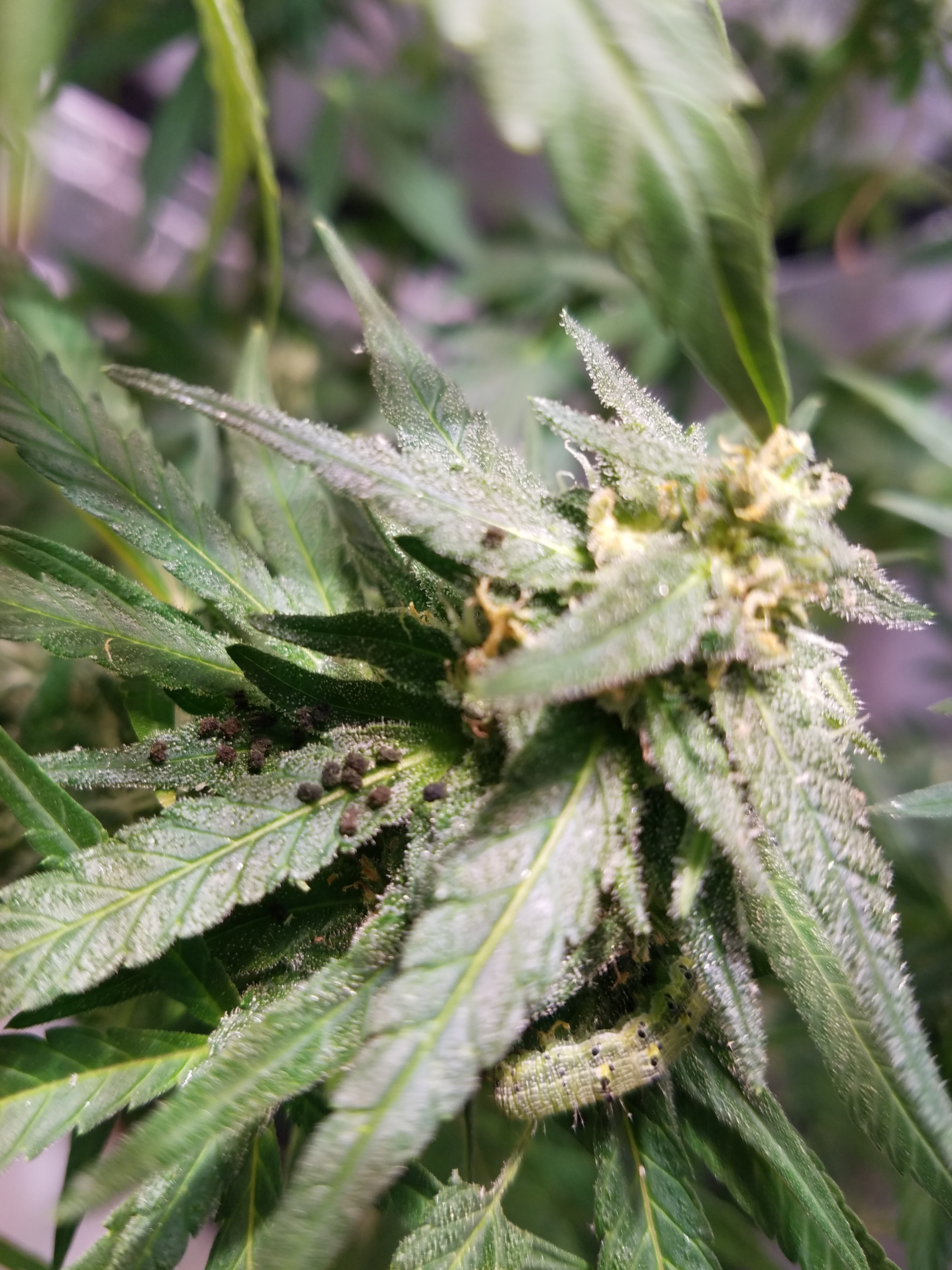 20200922_085404[1].jpg