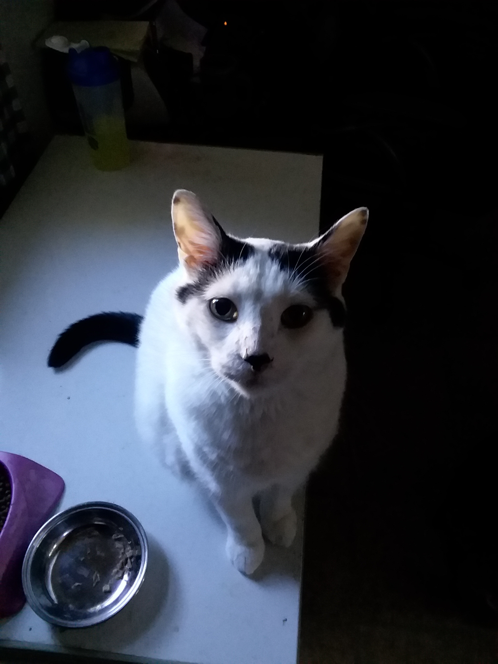 20200923_090336.jpg