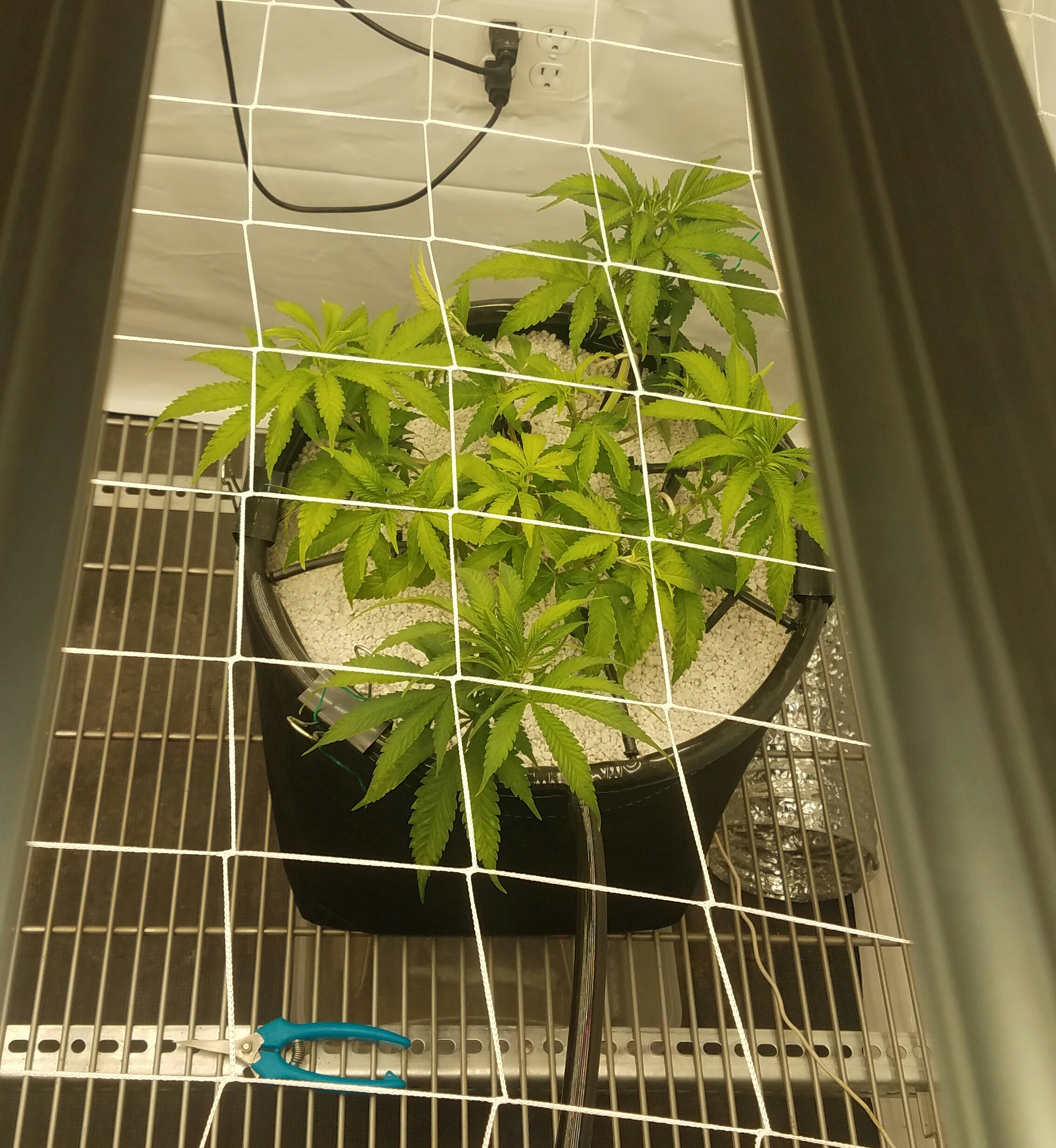 20201001_084451.jpg