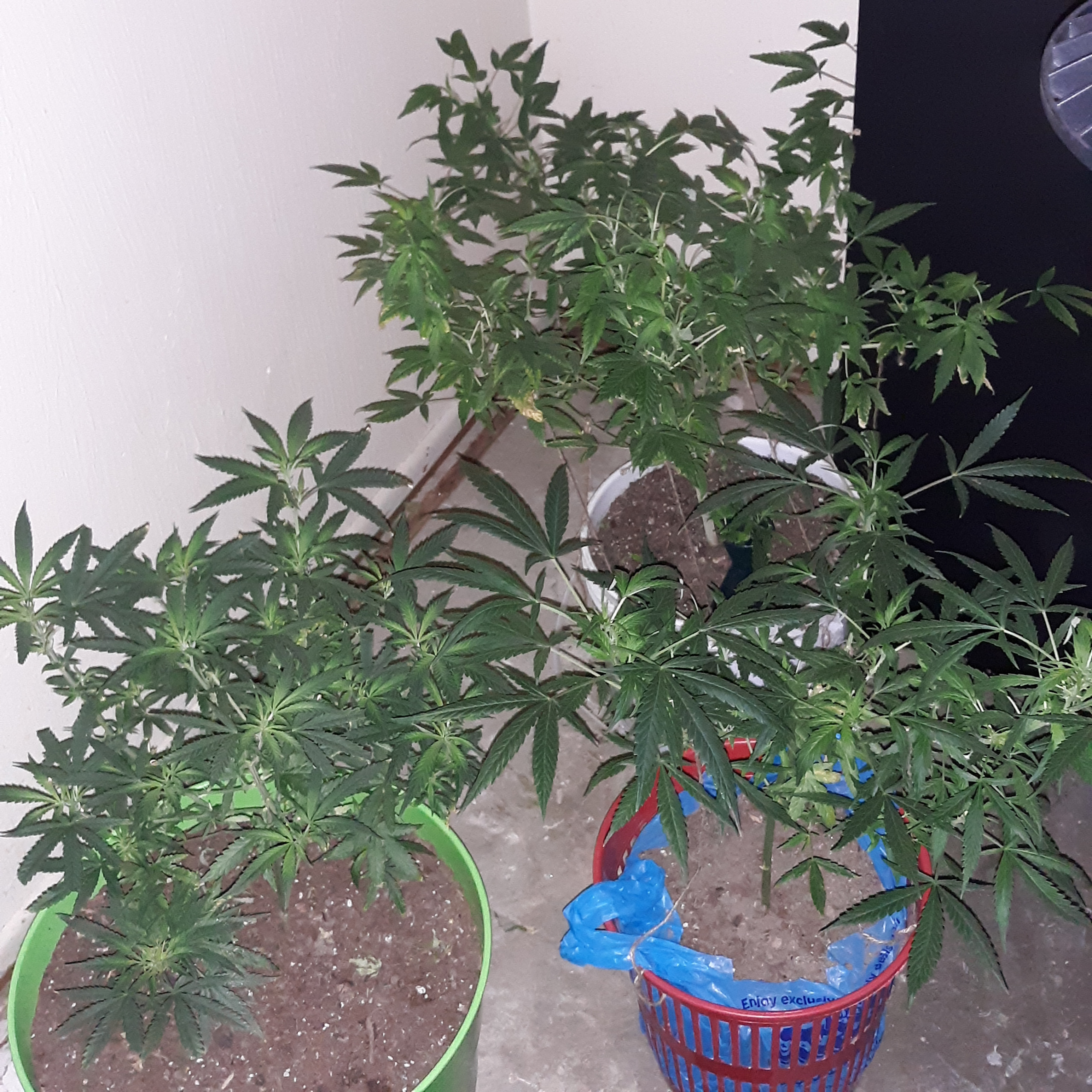 20201003_212110.jpg