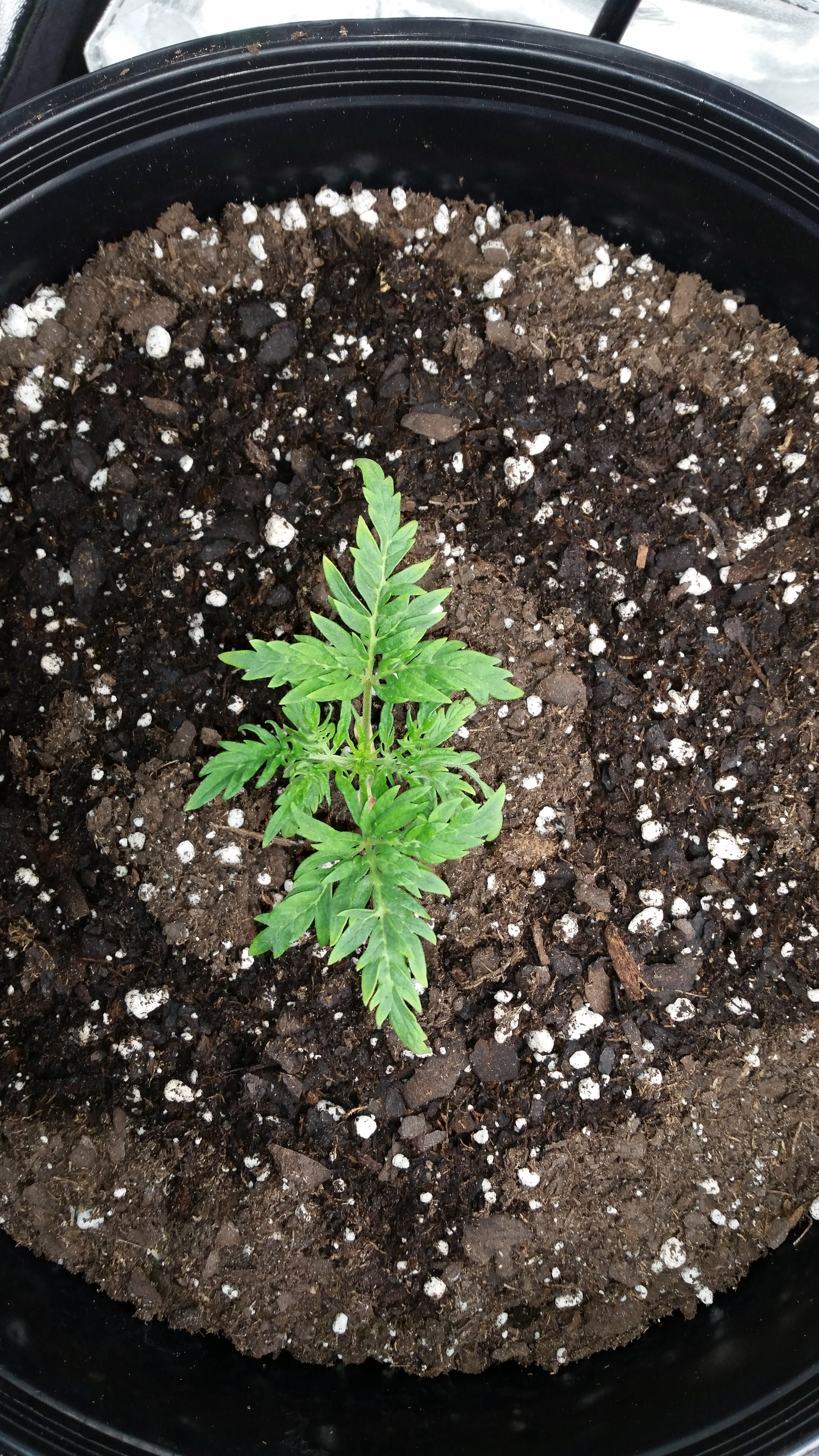 20201006_094339.jpg