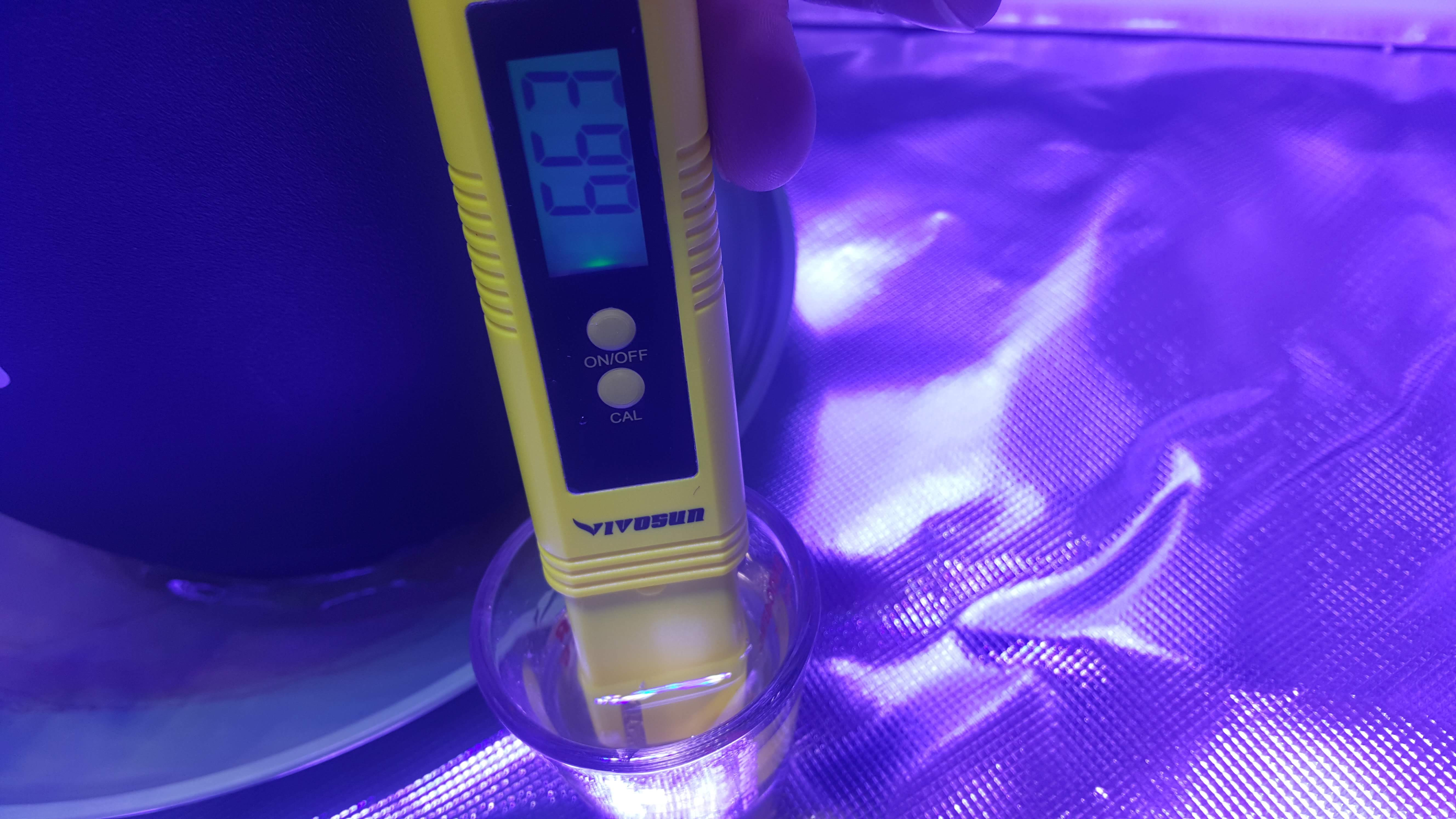 20201006_130324.jpg