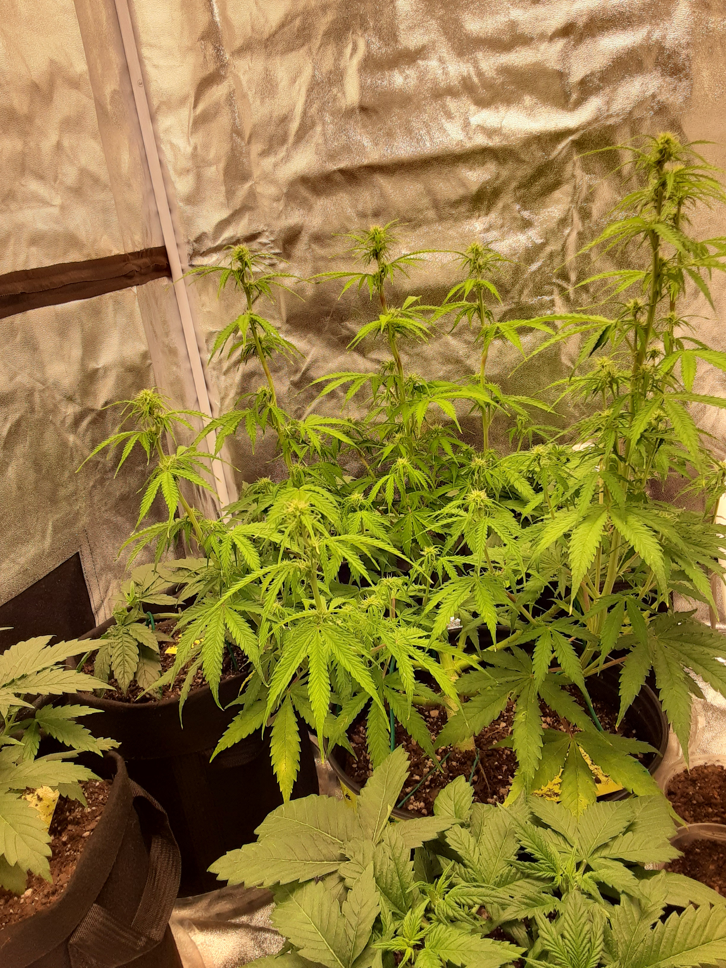 20201008_132659.jpg