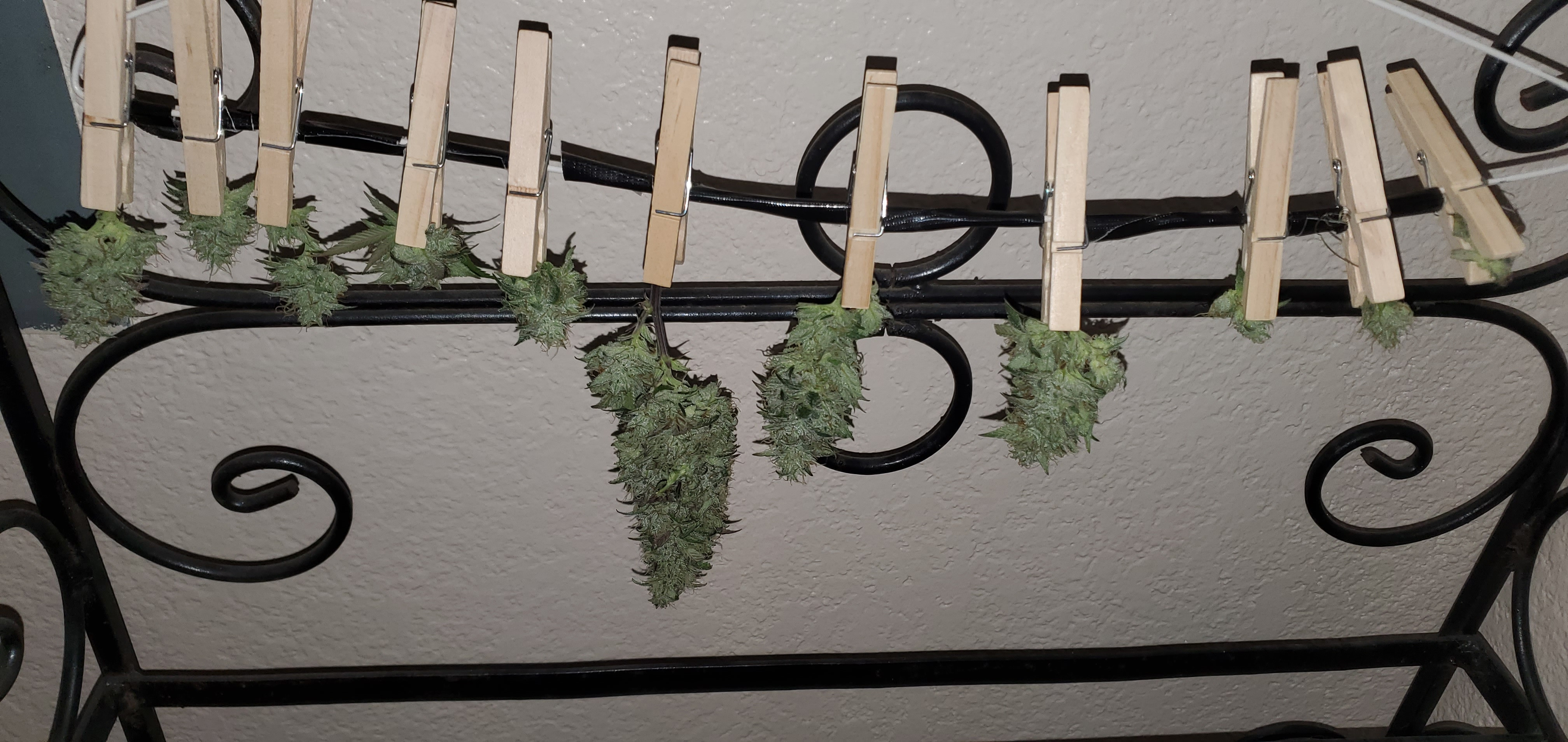 20201009_202535.jpg