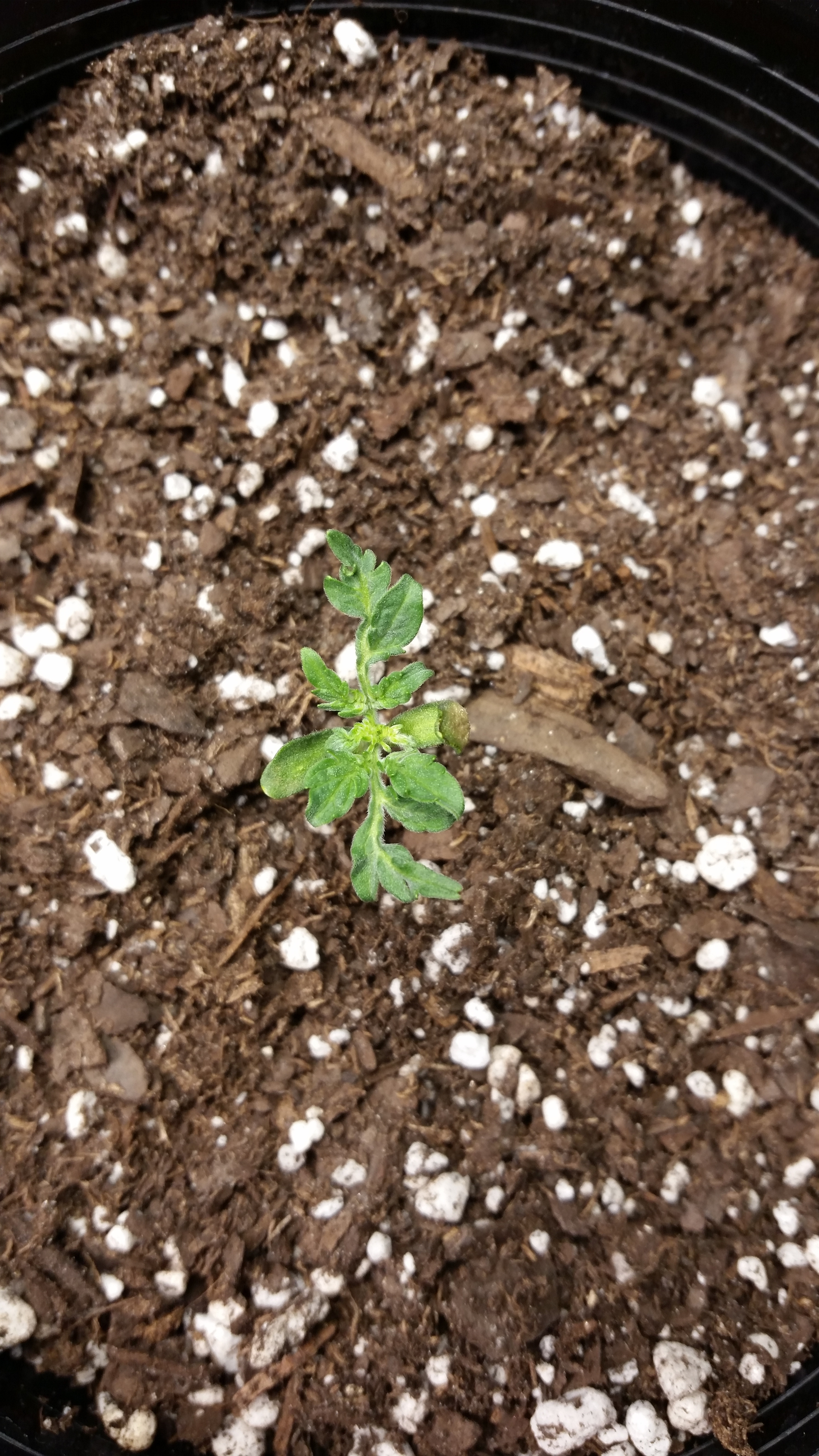20201015_085207.jpg