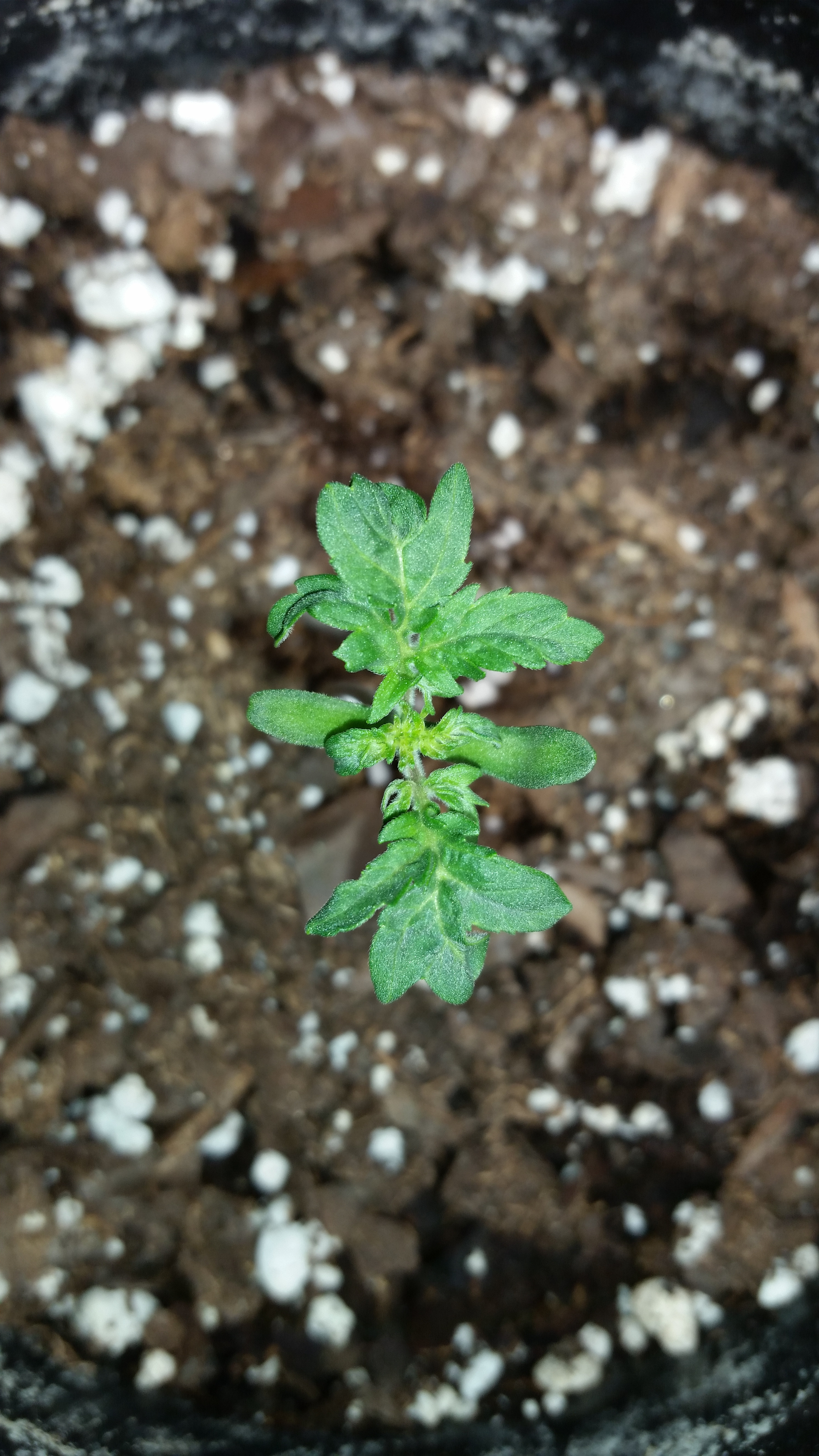 20201025_165027.jpg