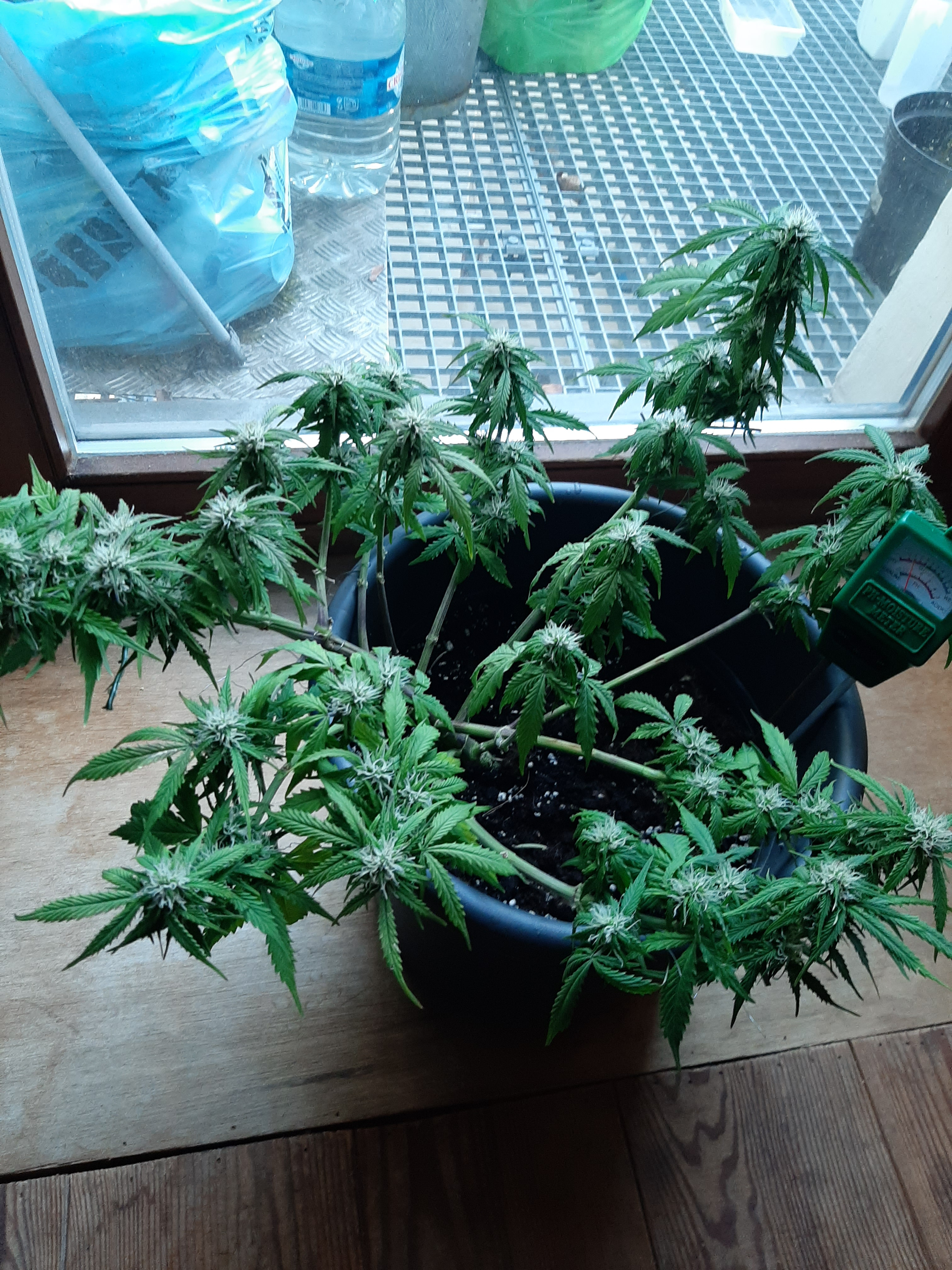 20201105_132442[1].jpg