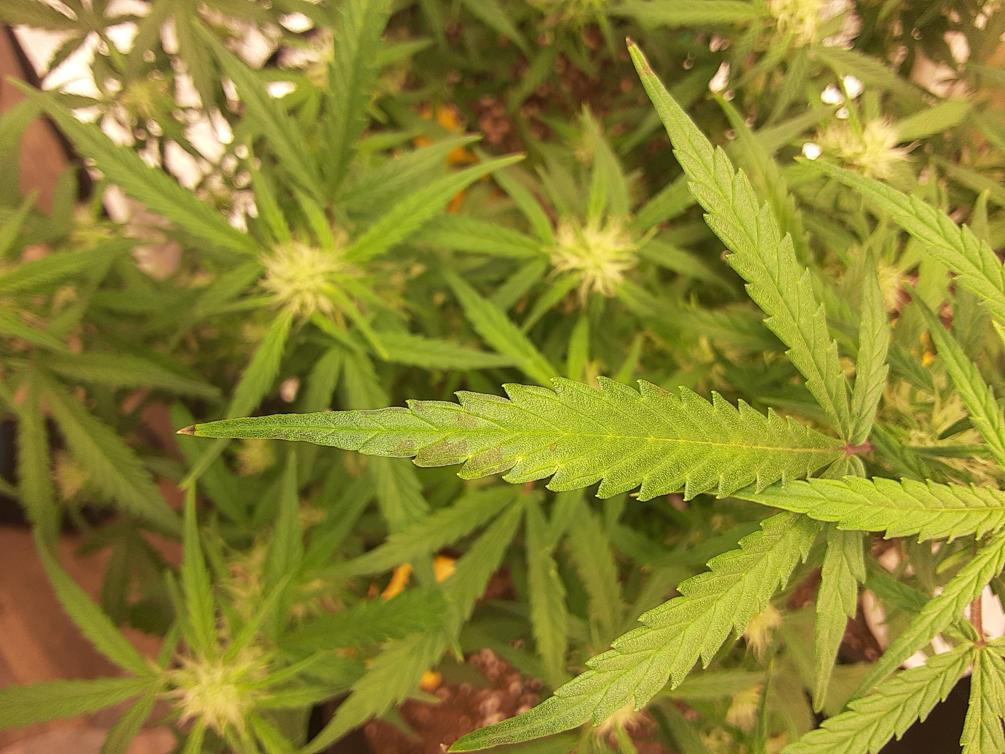 20201106_132302.jpg
