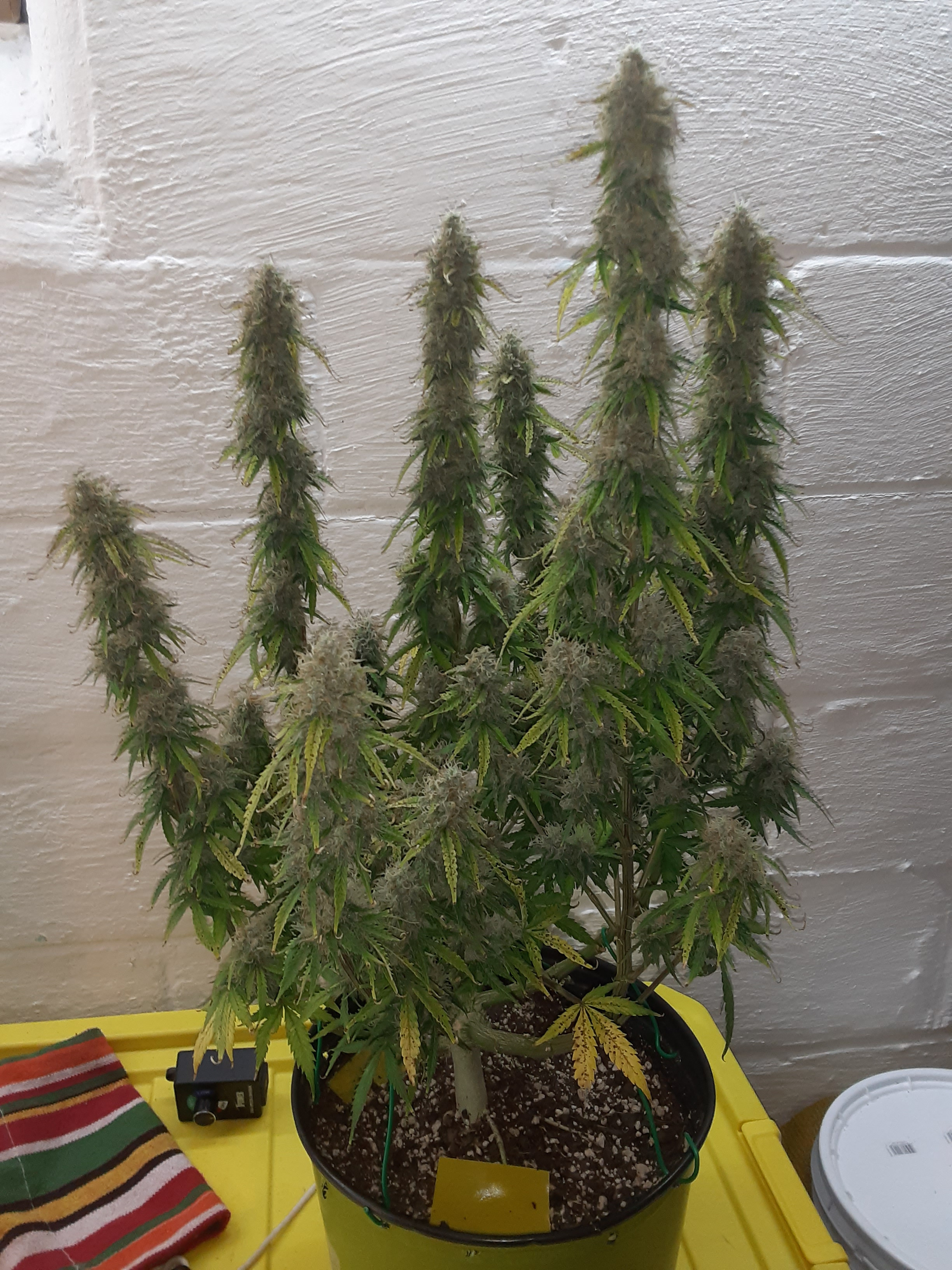 20201107_105931.jpg