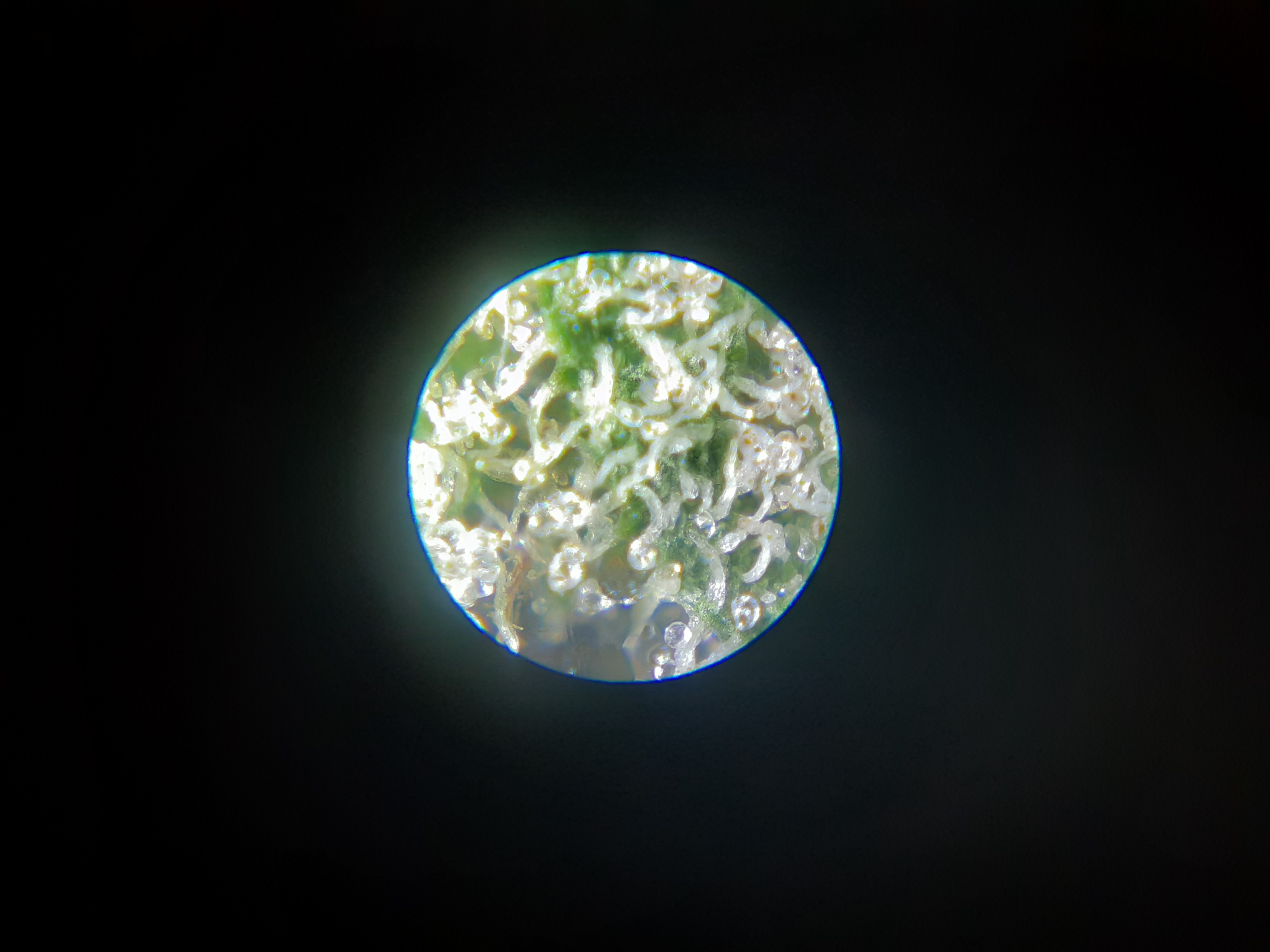 20201206_192222.jpg