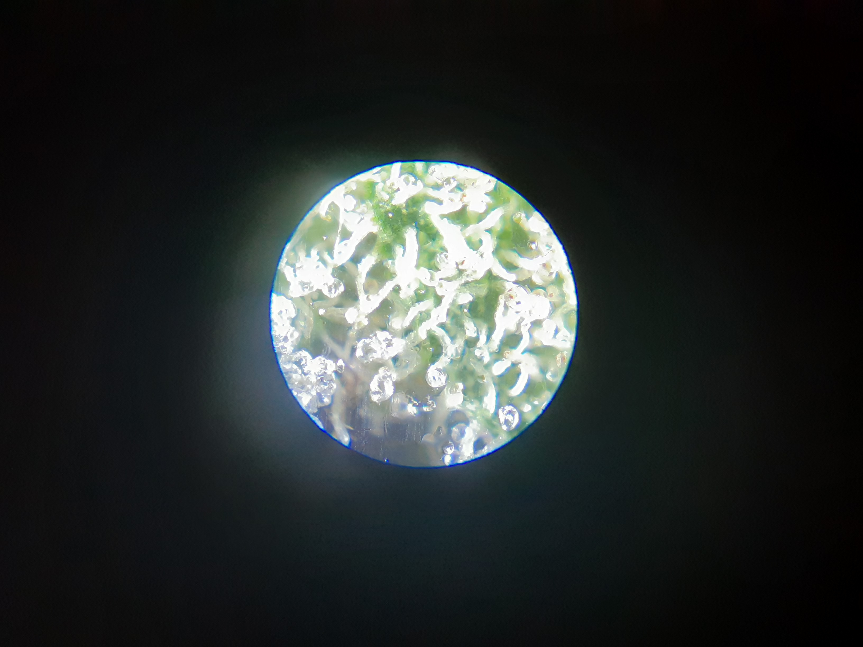 20201206_192227.jpg