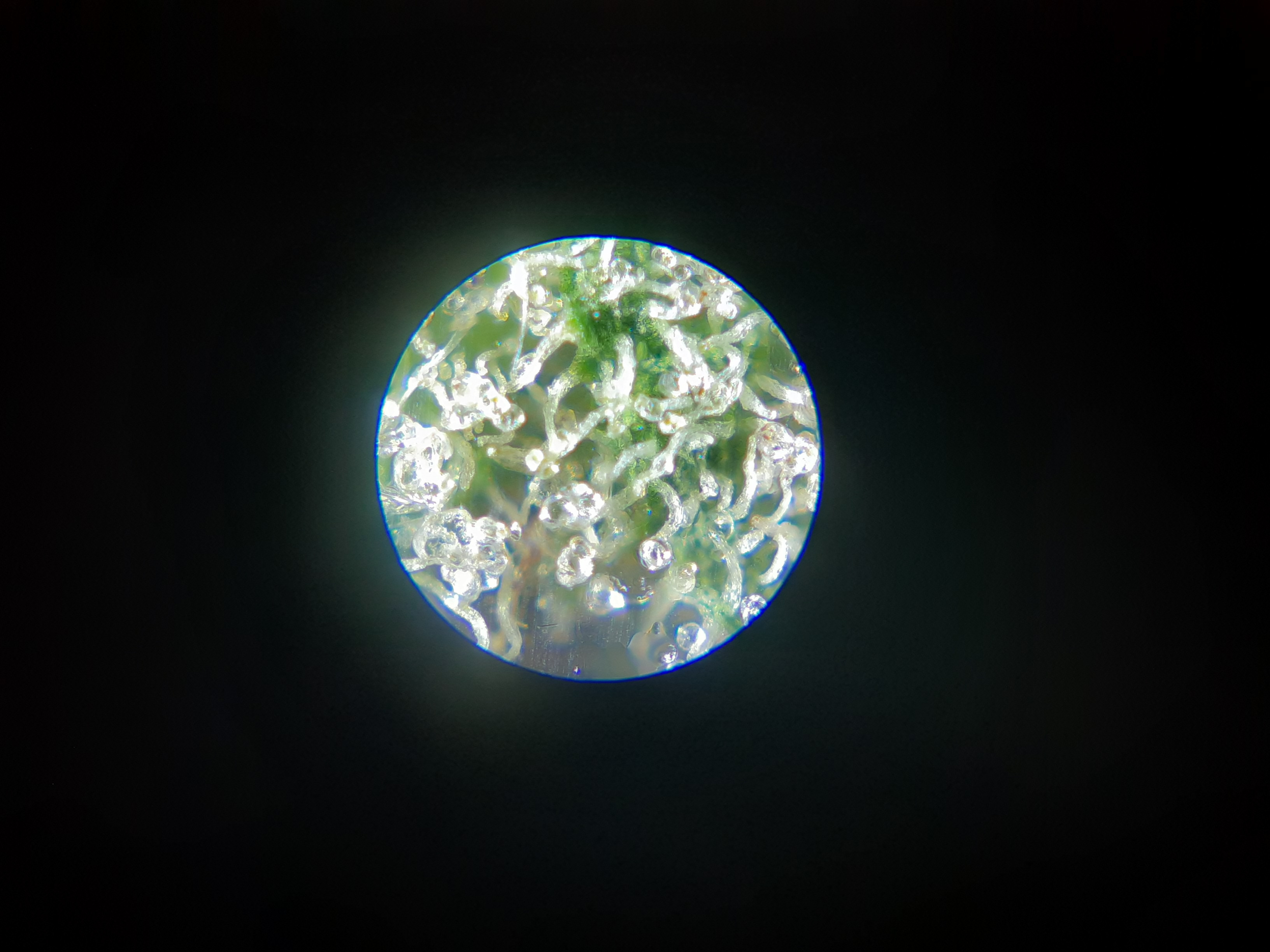 20201206_192250.jpg