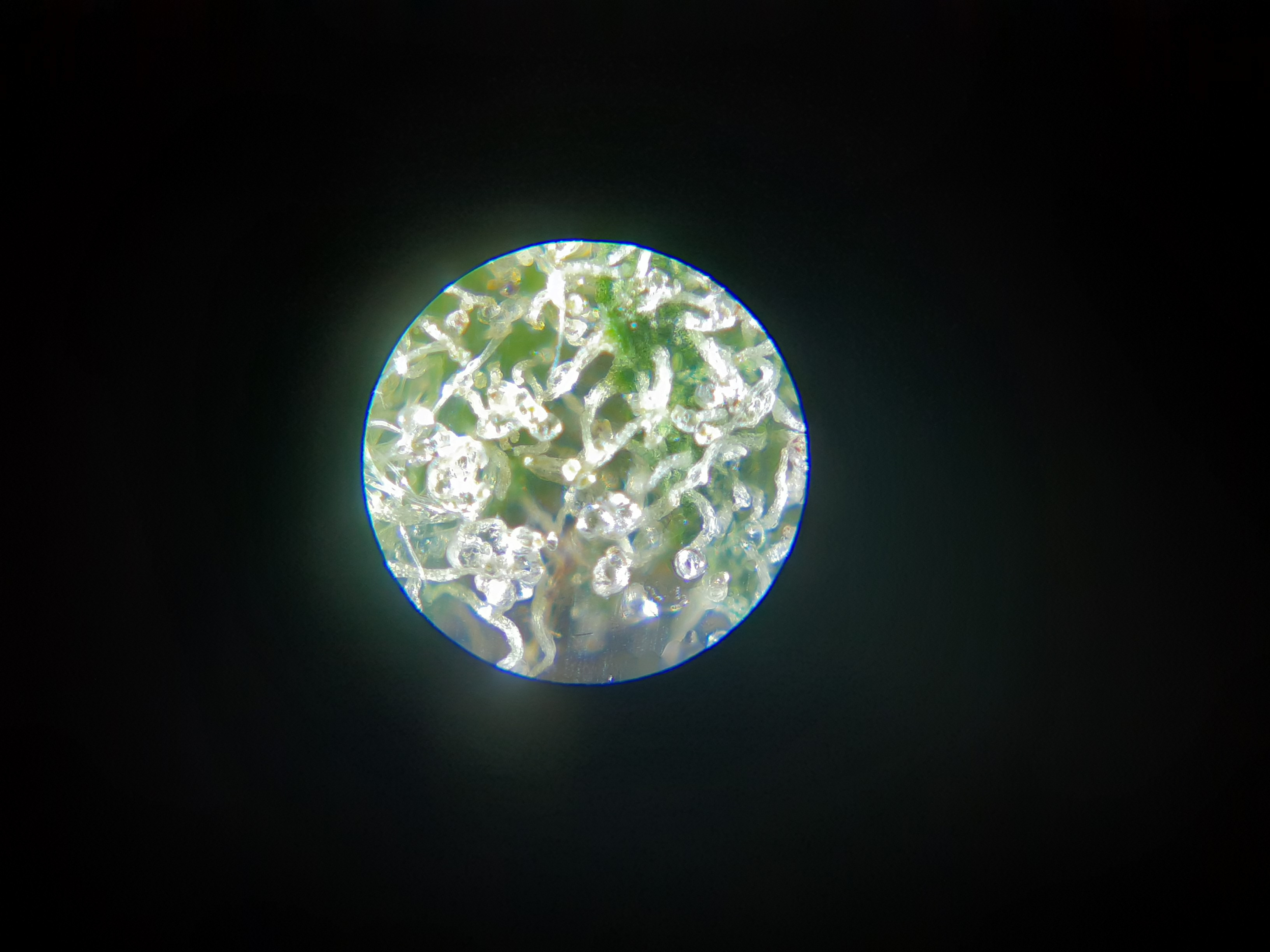 20201206_192257.jpg