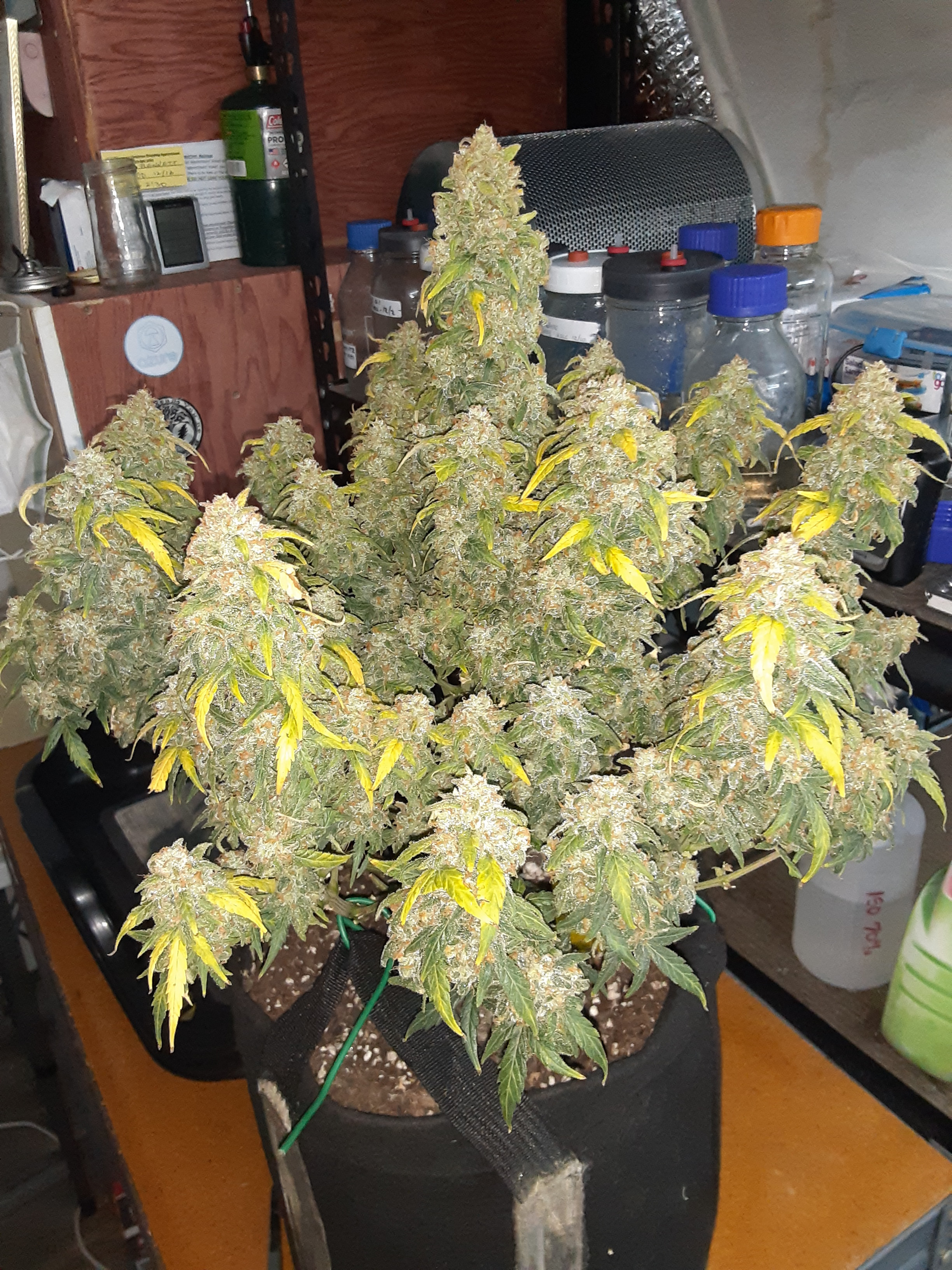 20201214_115932.jpg