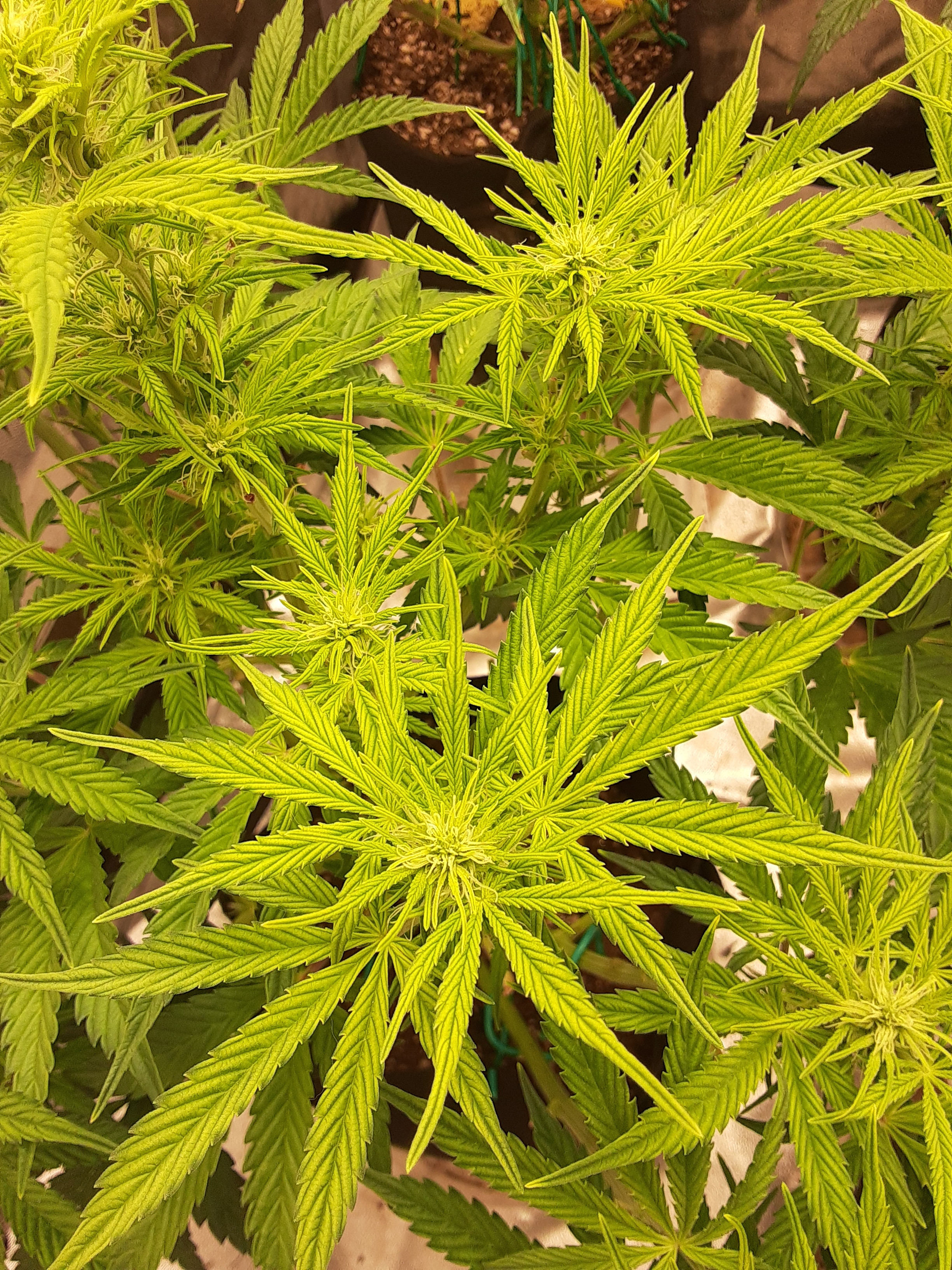 20201221_115253.jpg