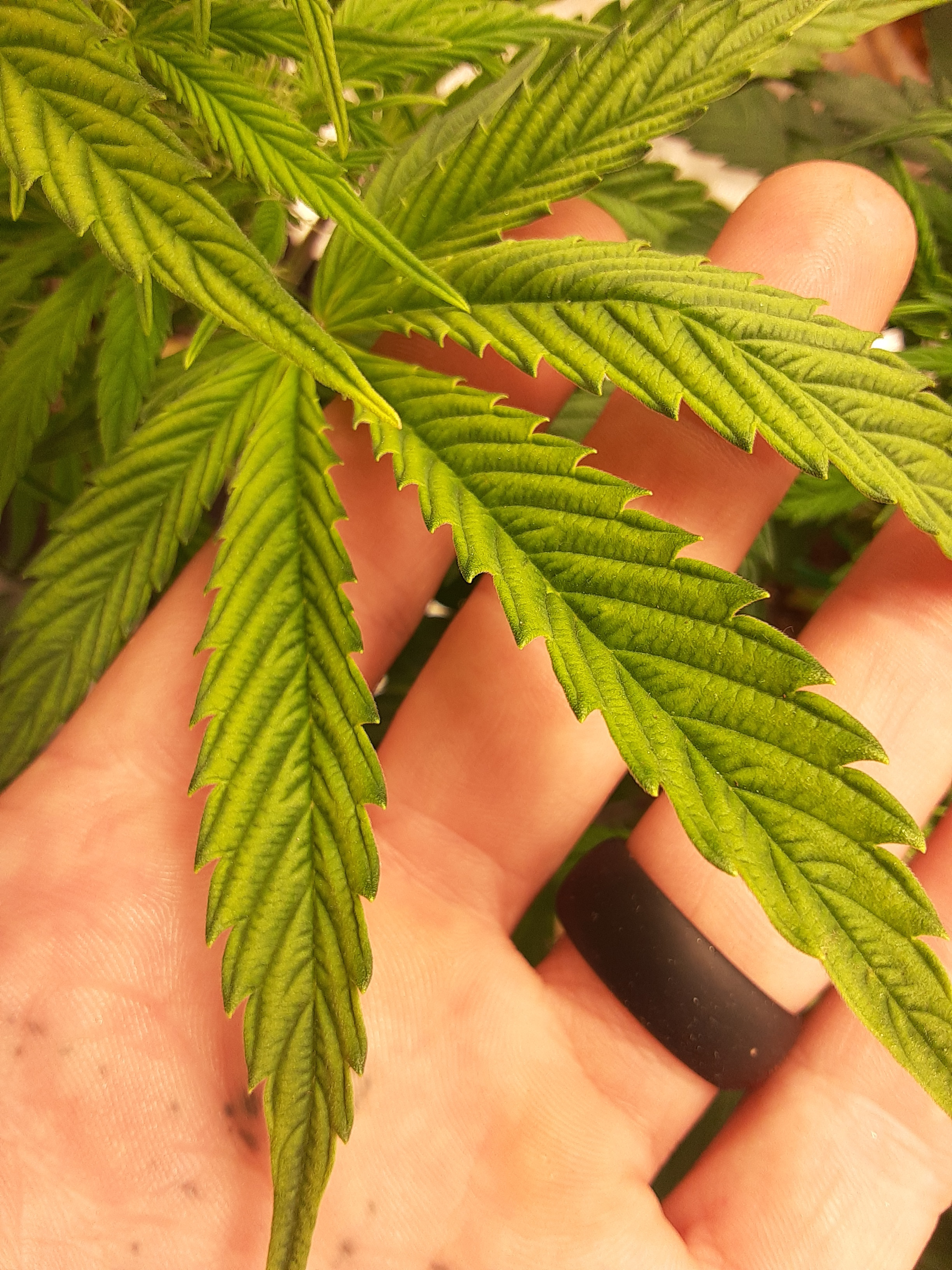 20201223_175522.jpg