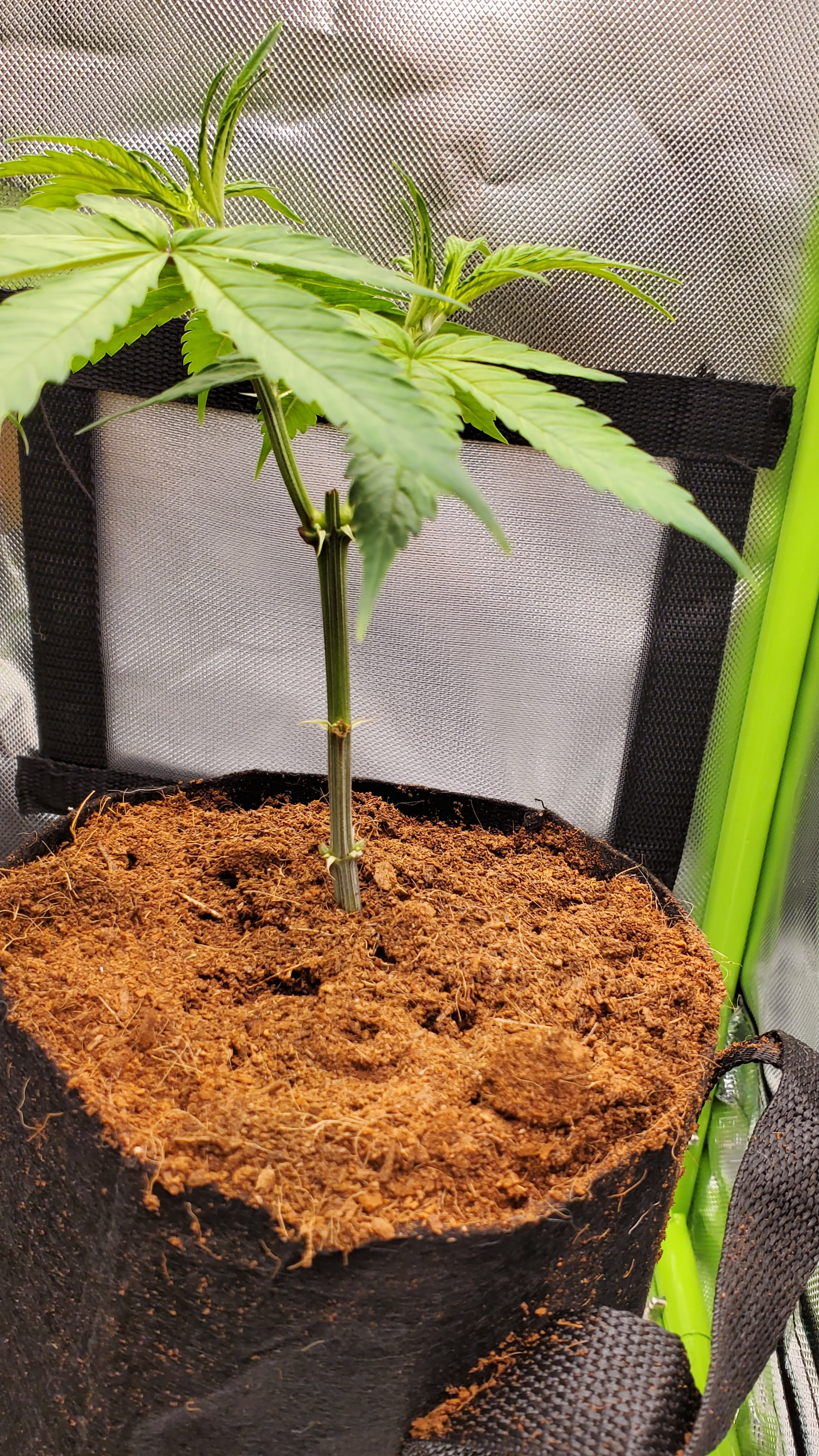 20201223_215253.jpg