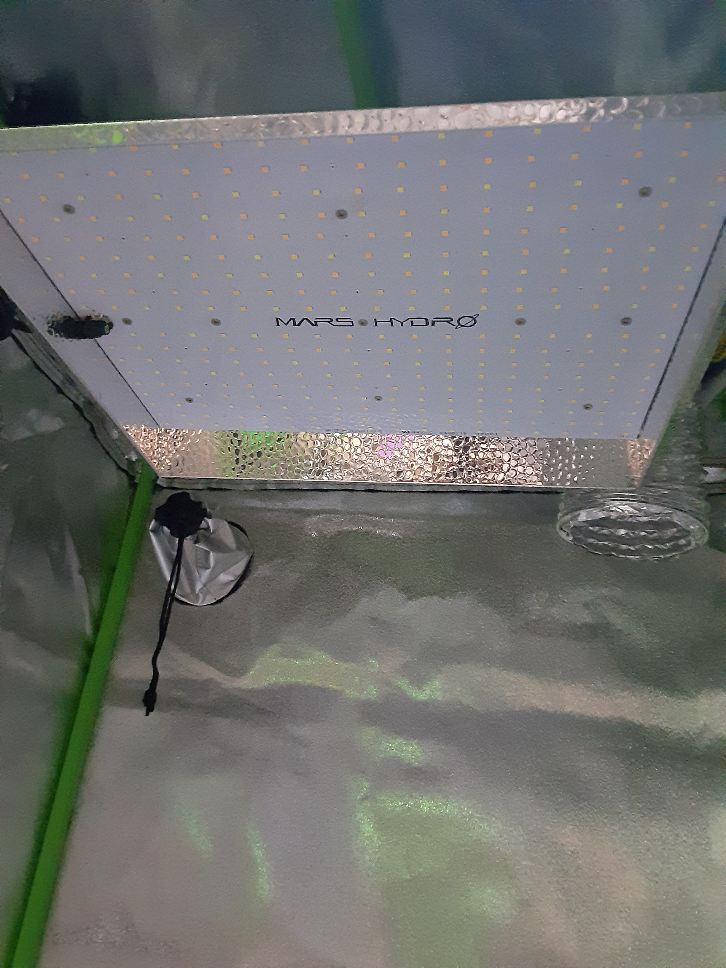 20201230_145359.jpg