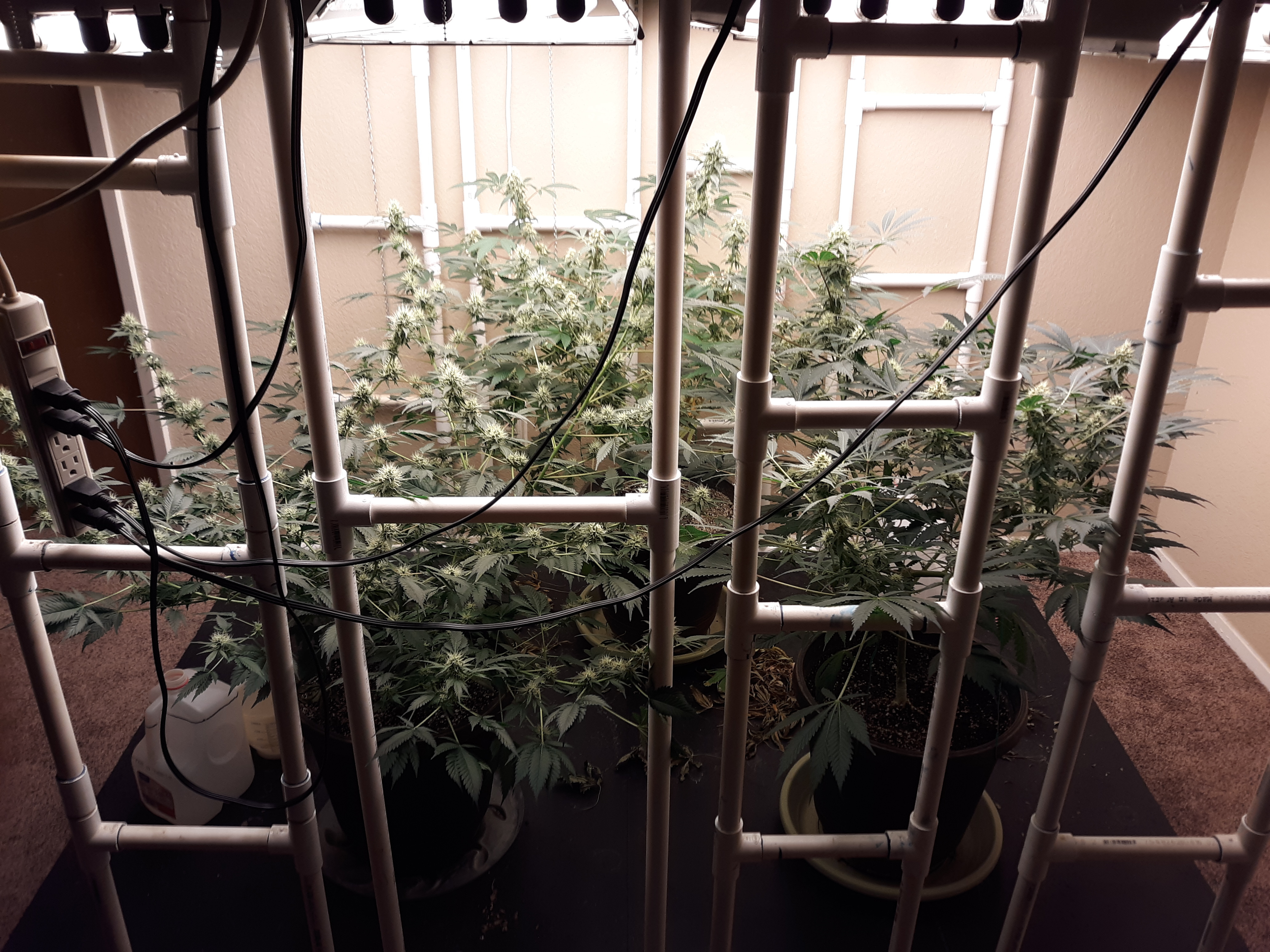 20210313_100224.jpg - Group Photo