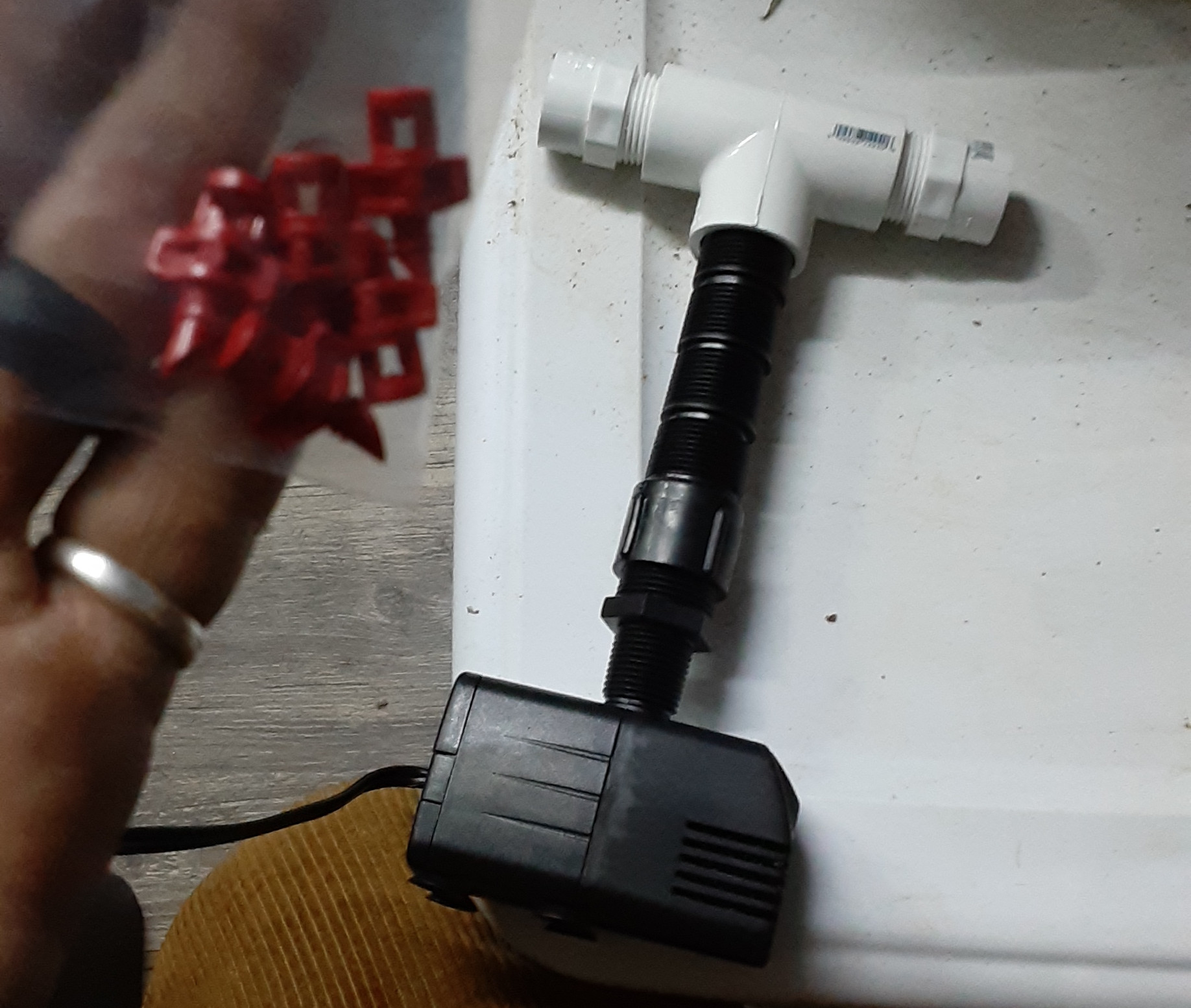 20210326_191802.jpg