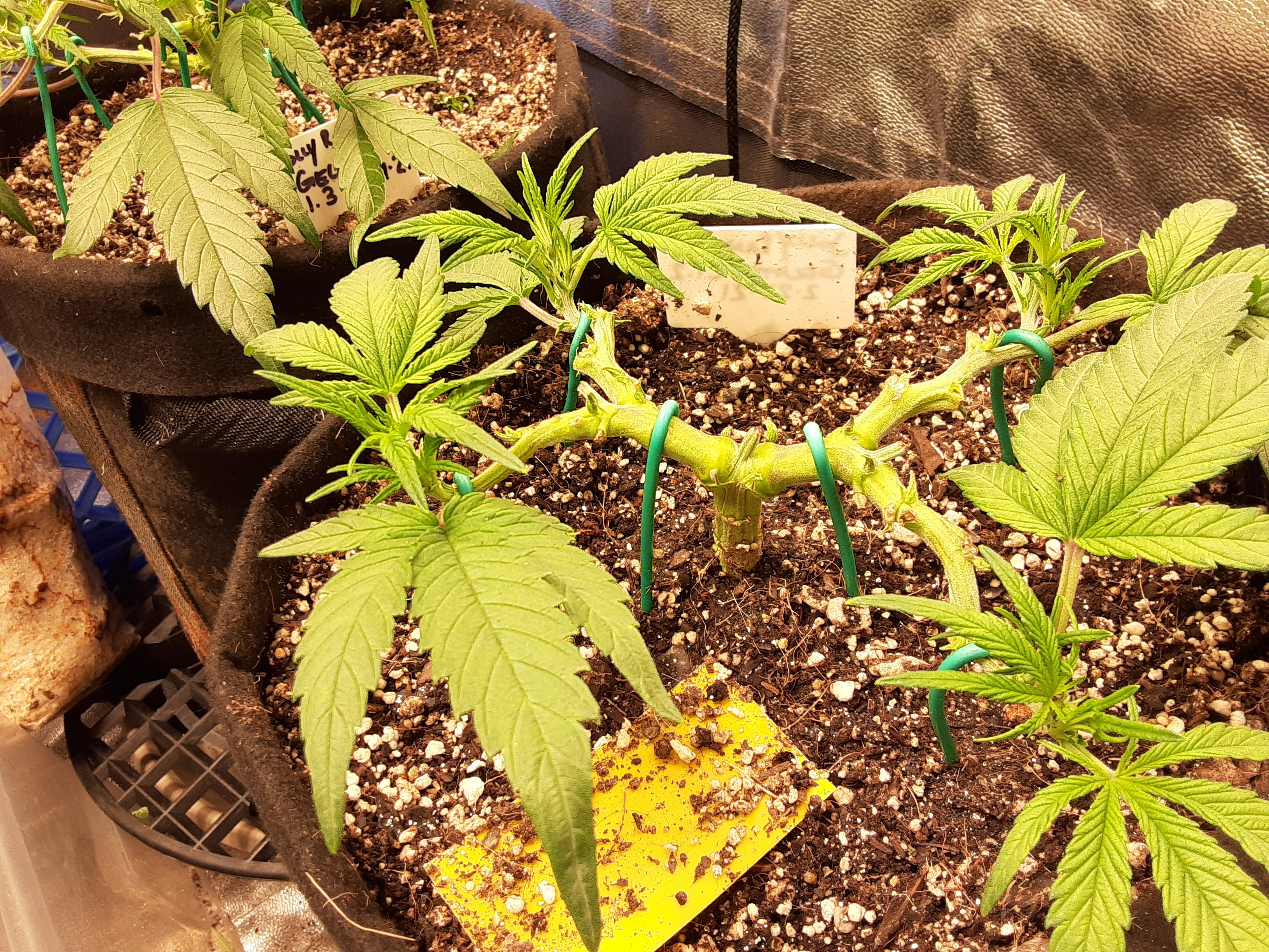 20210329_205416.jpg