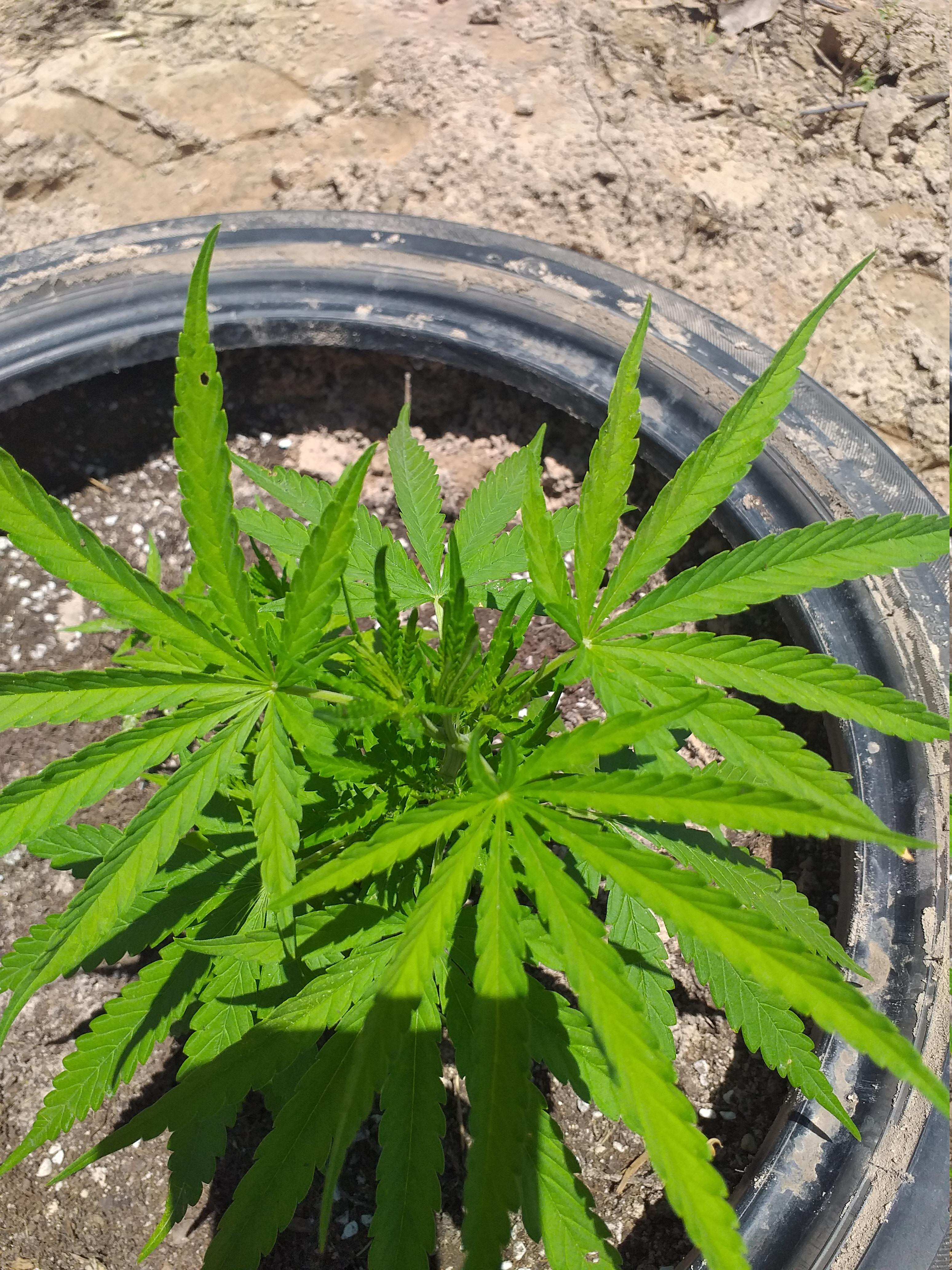 20210620 73.jpg