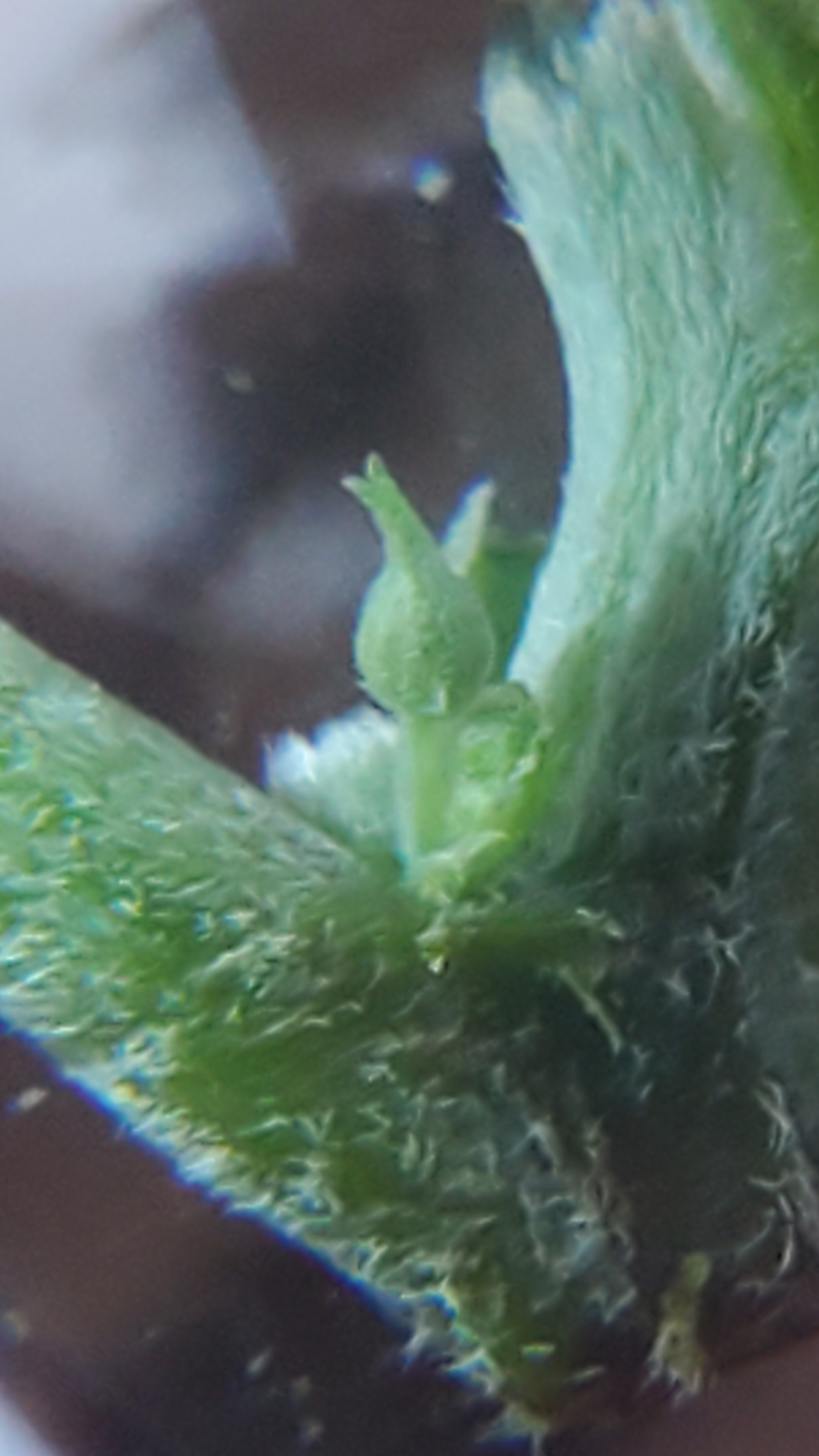 20210802_191110.jpg