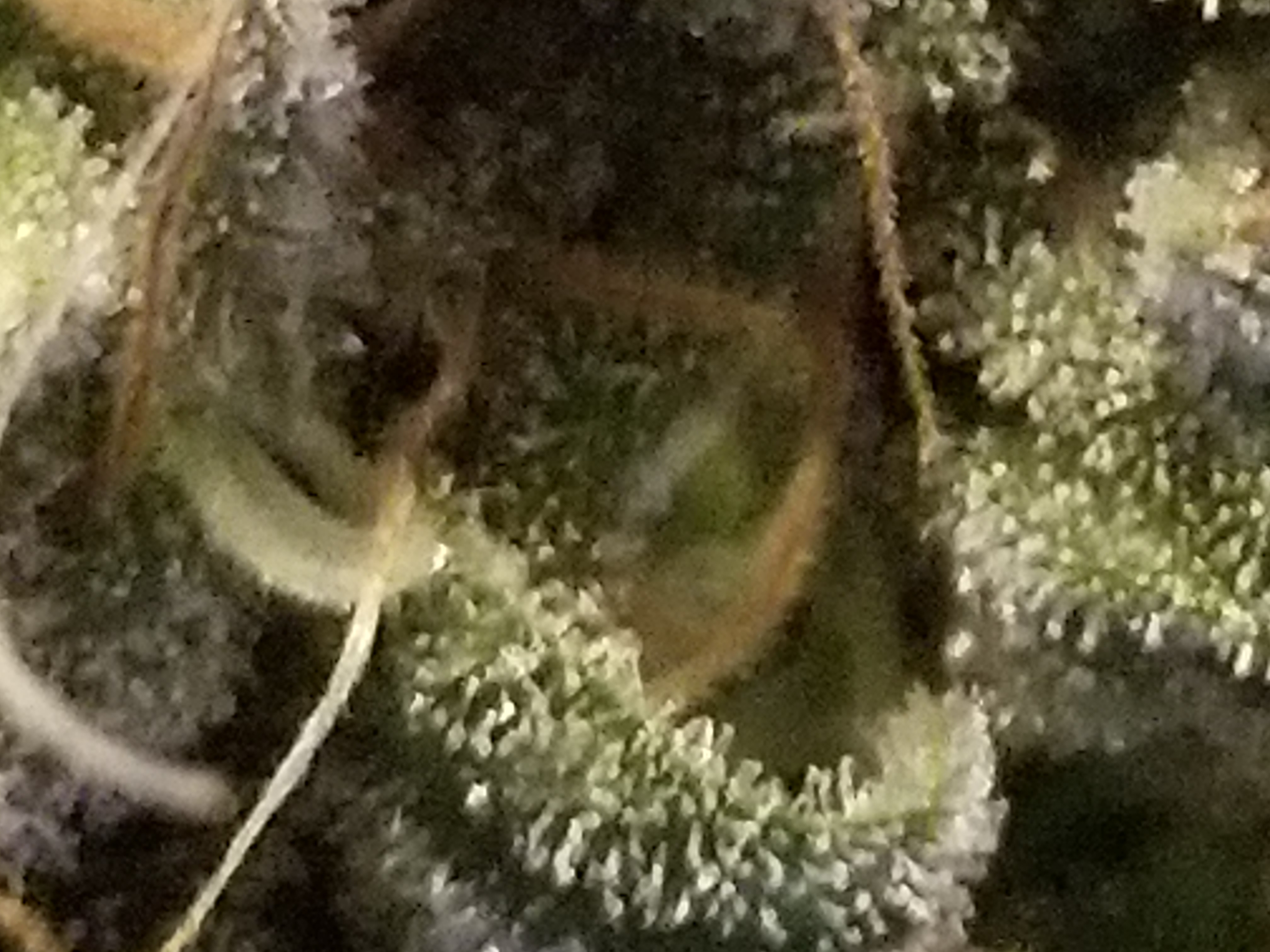 20211021_111310.jpg
