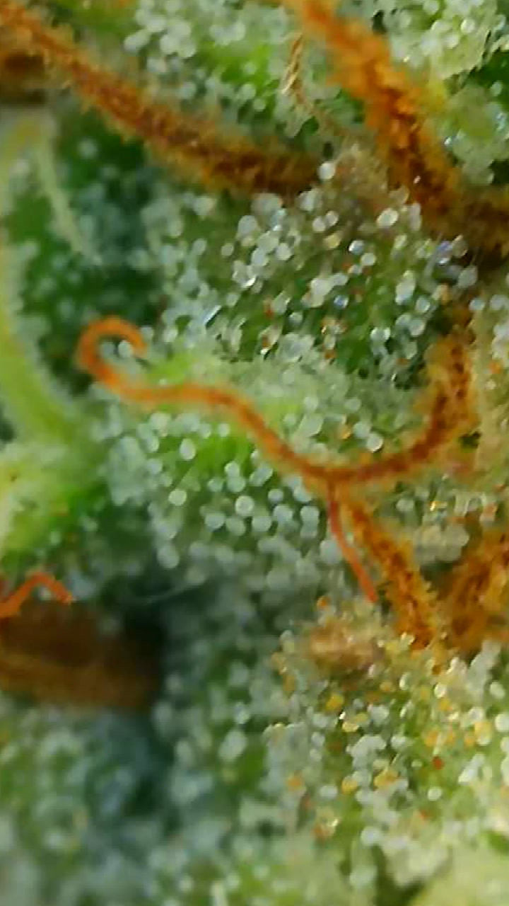 2021_06_10_21_07_57_127.png.jpg