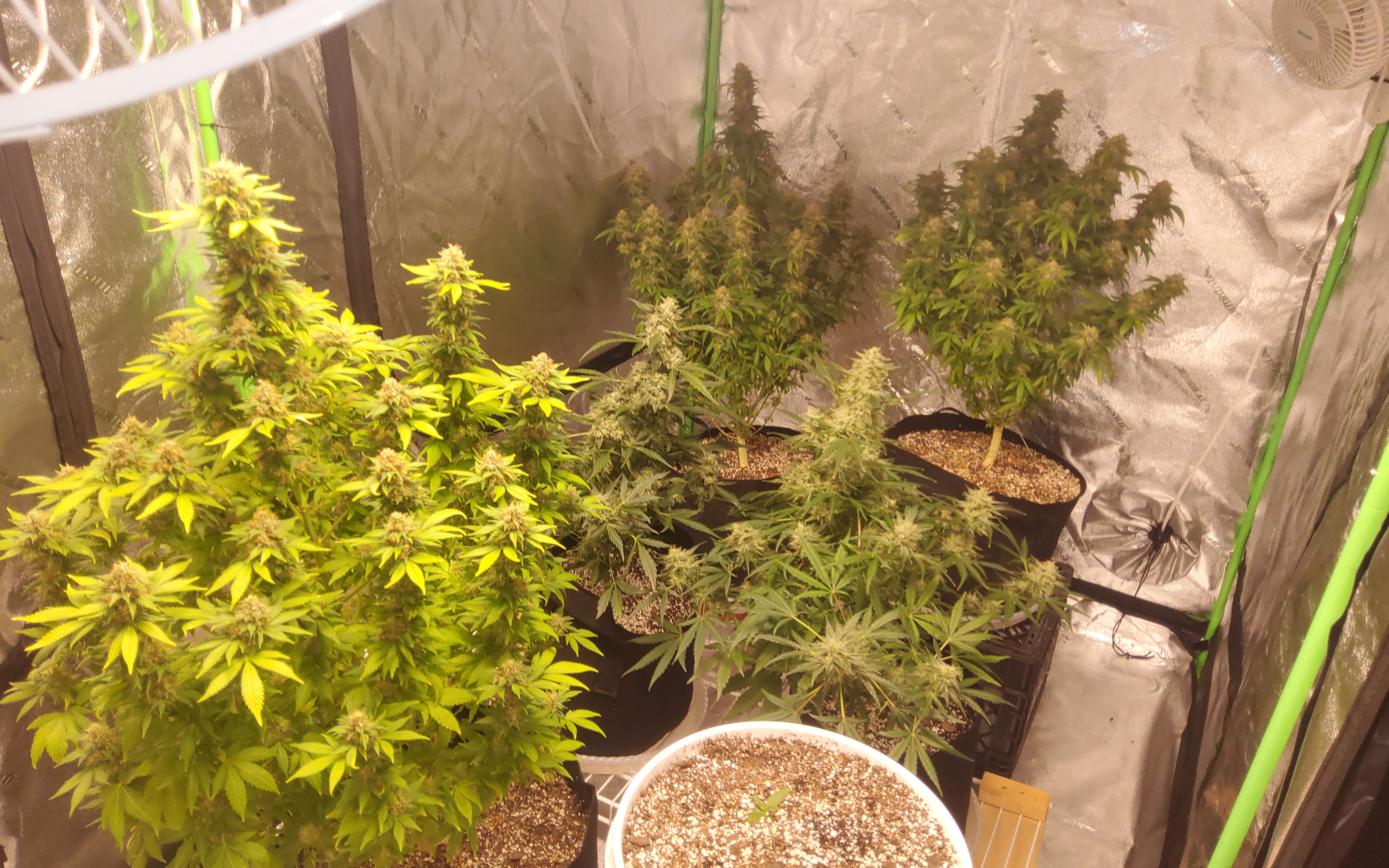 20220121_070053.jpg