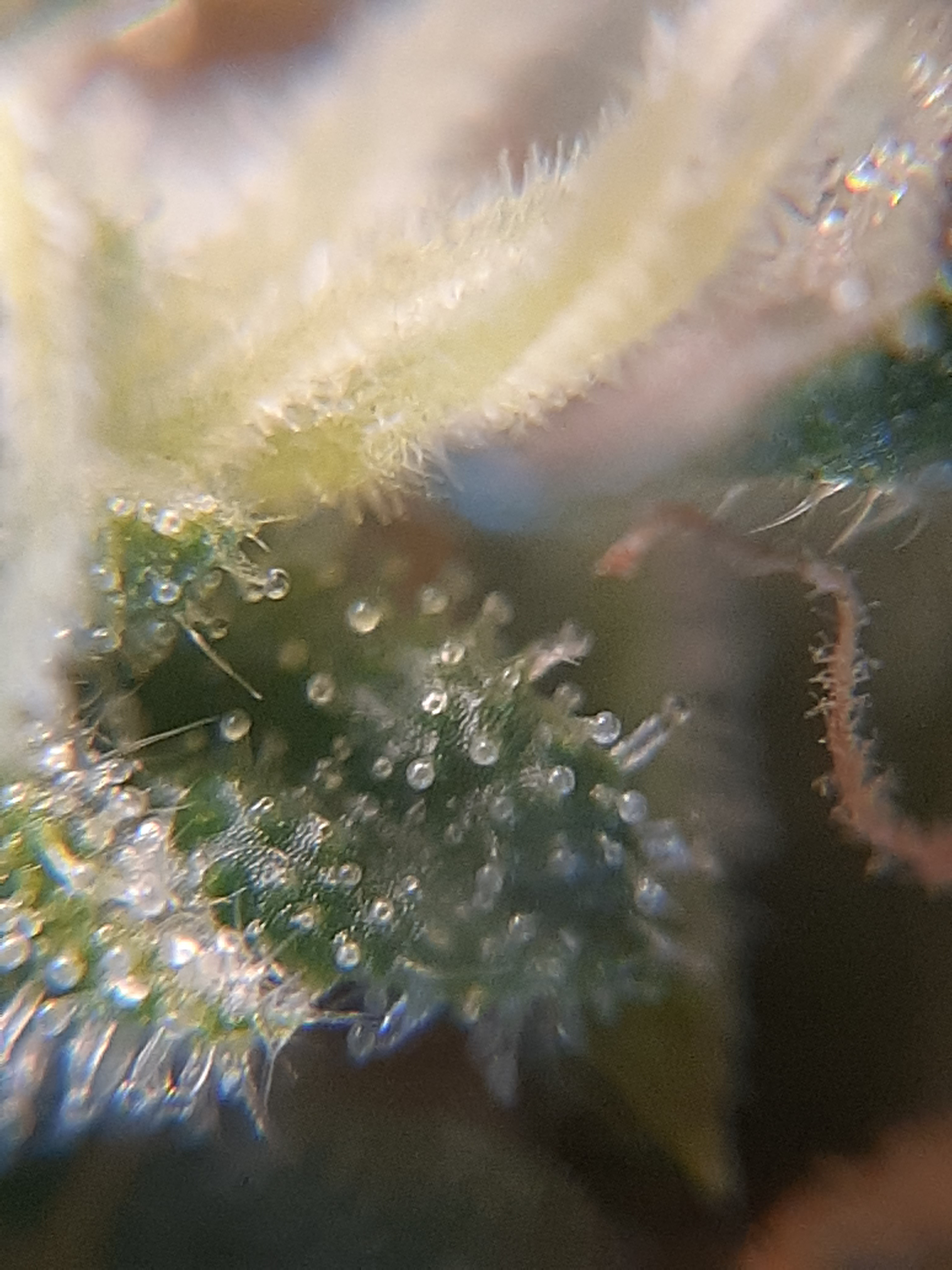 20220211_121541.jpg