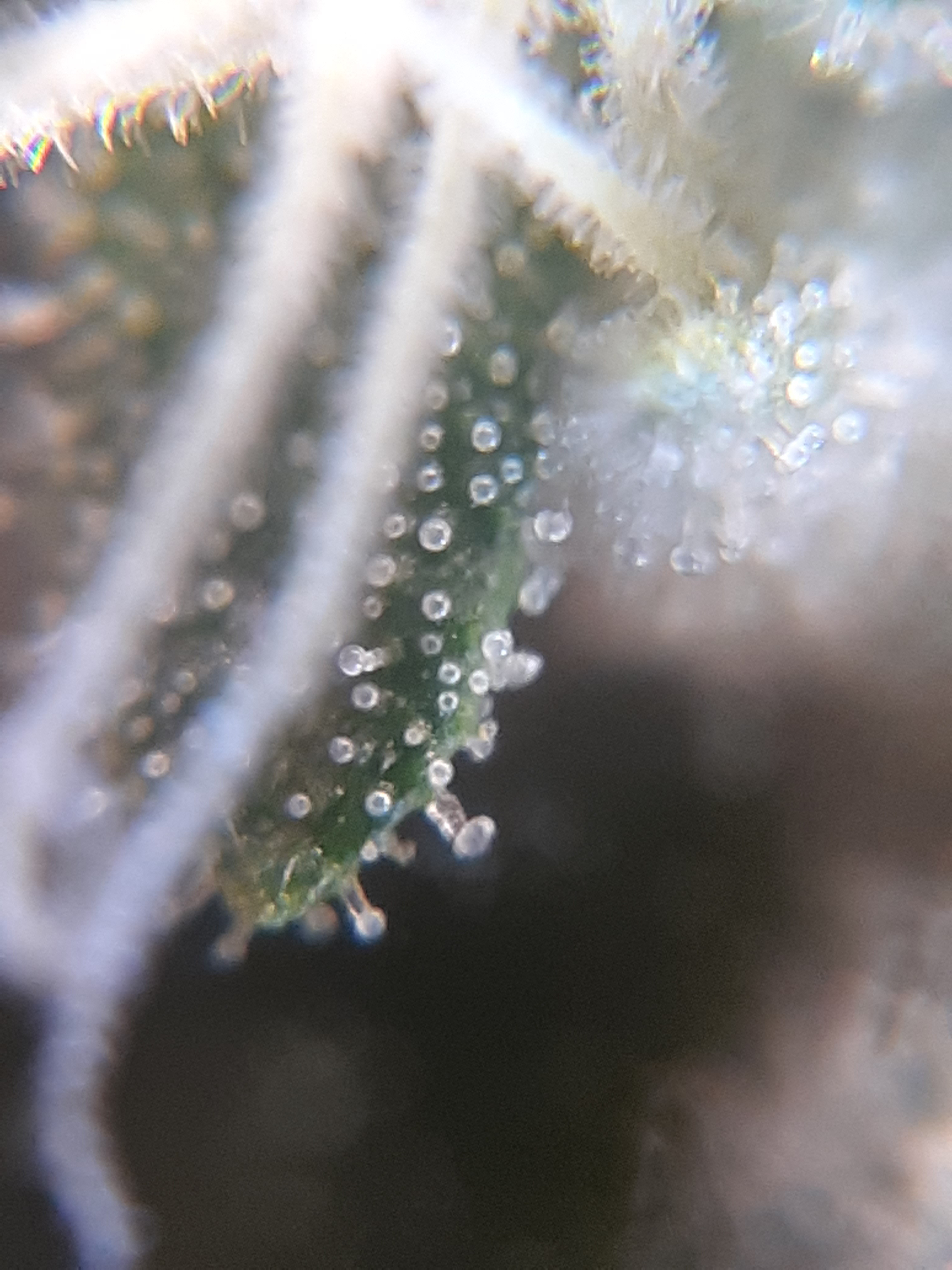 20220211_121723.jpg
