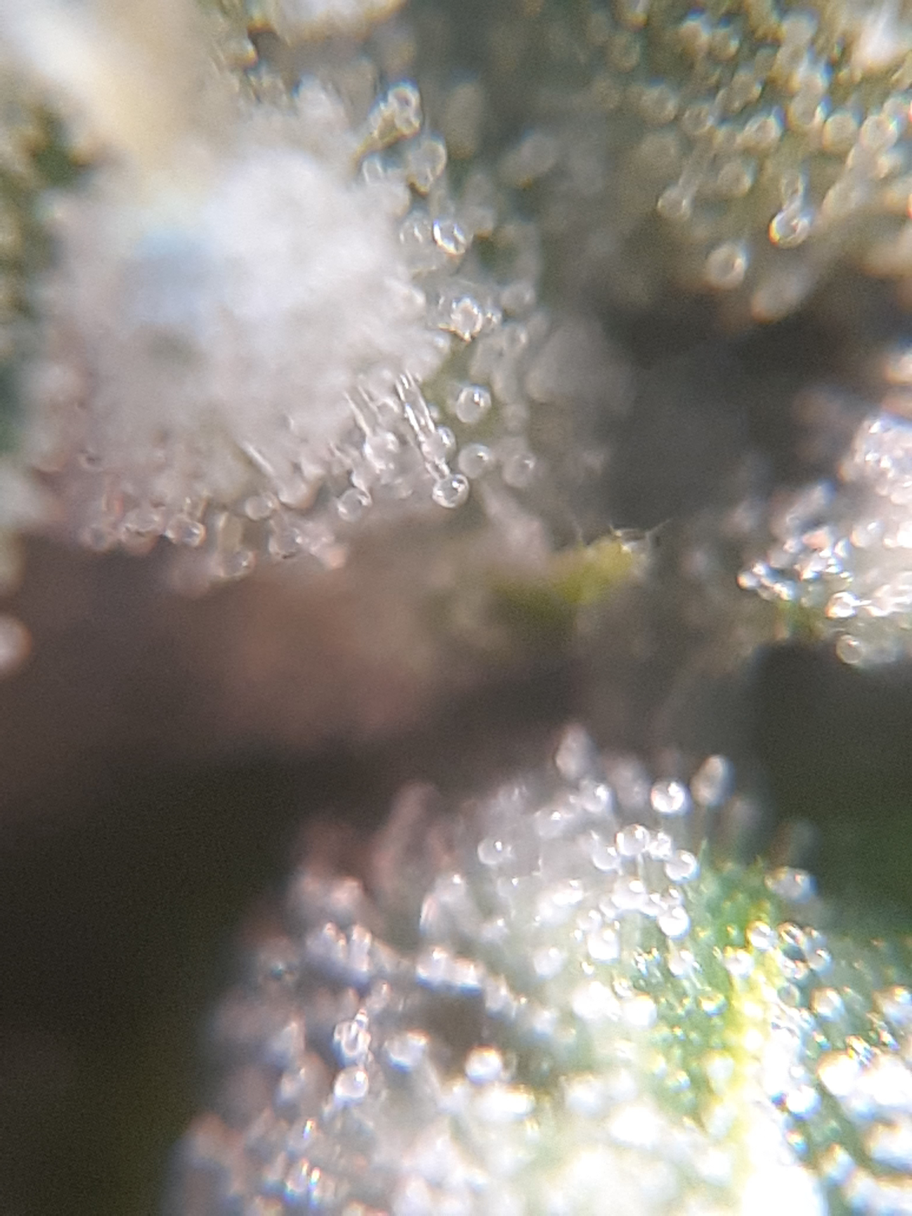 20220211_121738.jpg