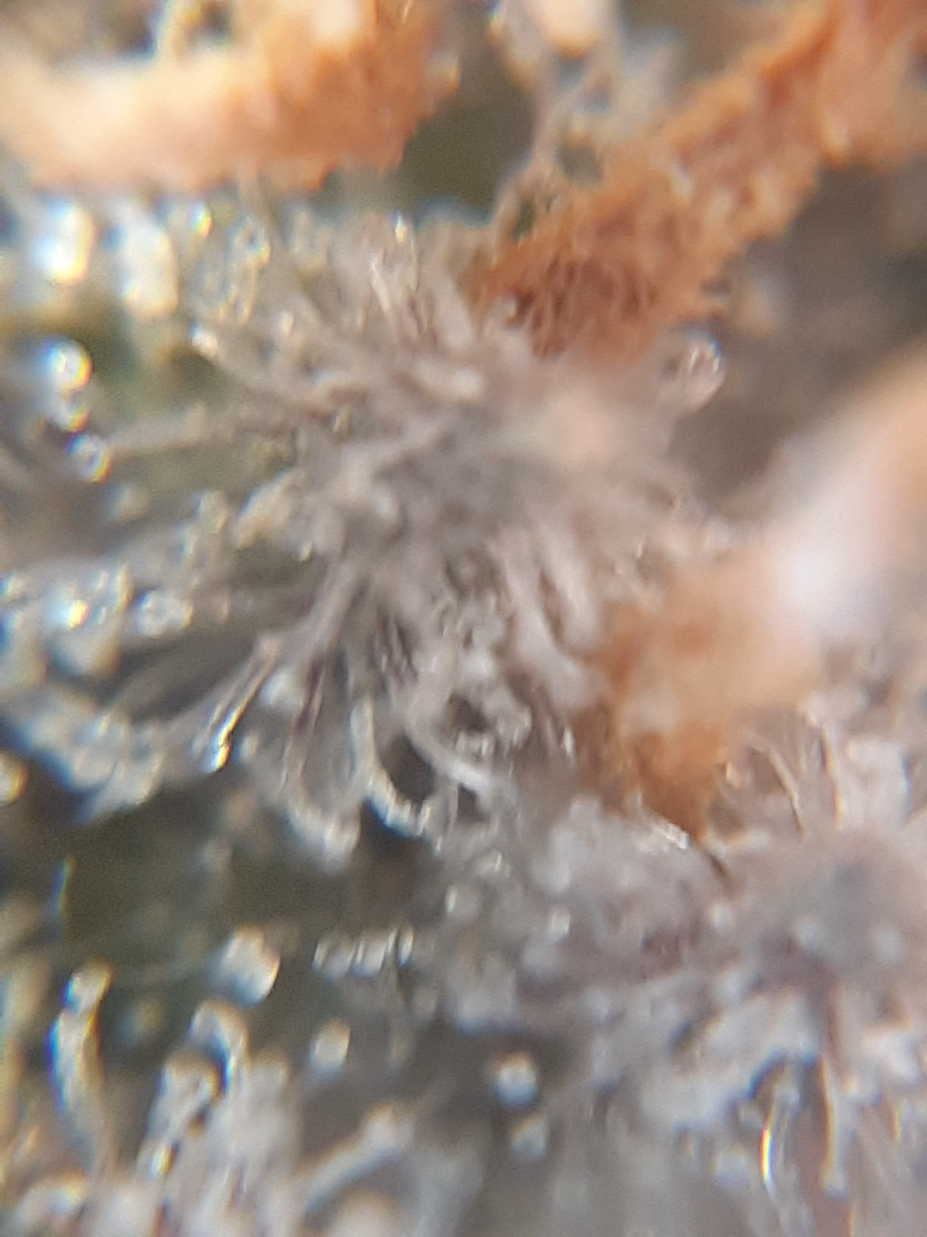 20220211_121821.jpg