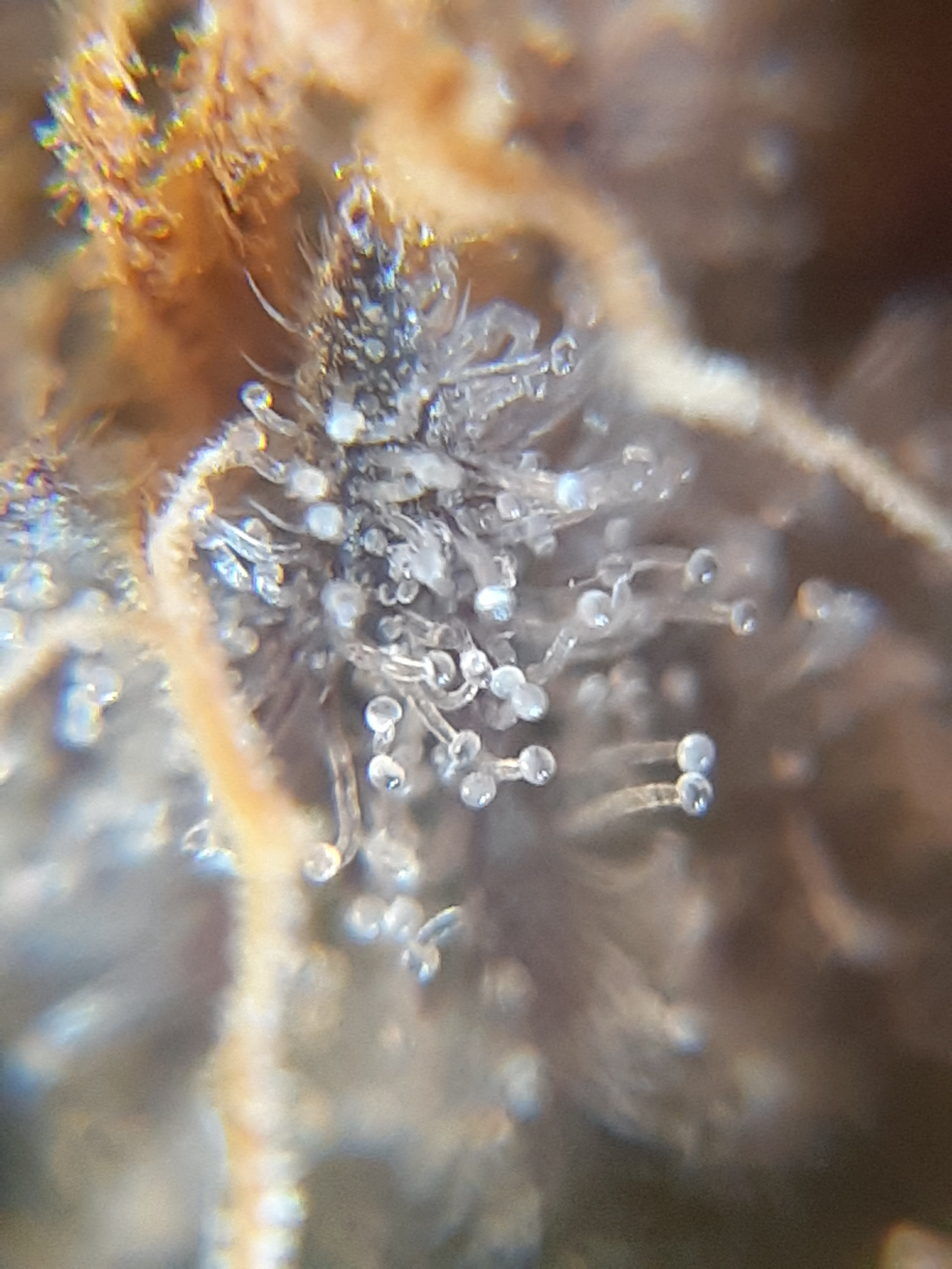 20220211_121852.jpg